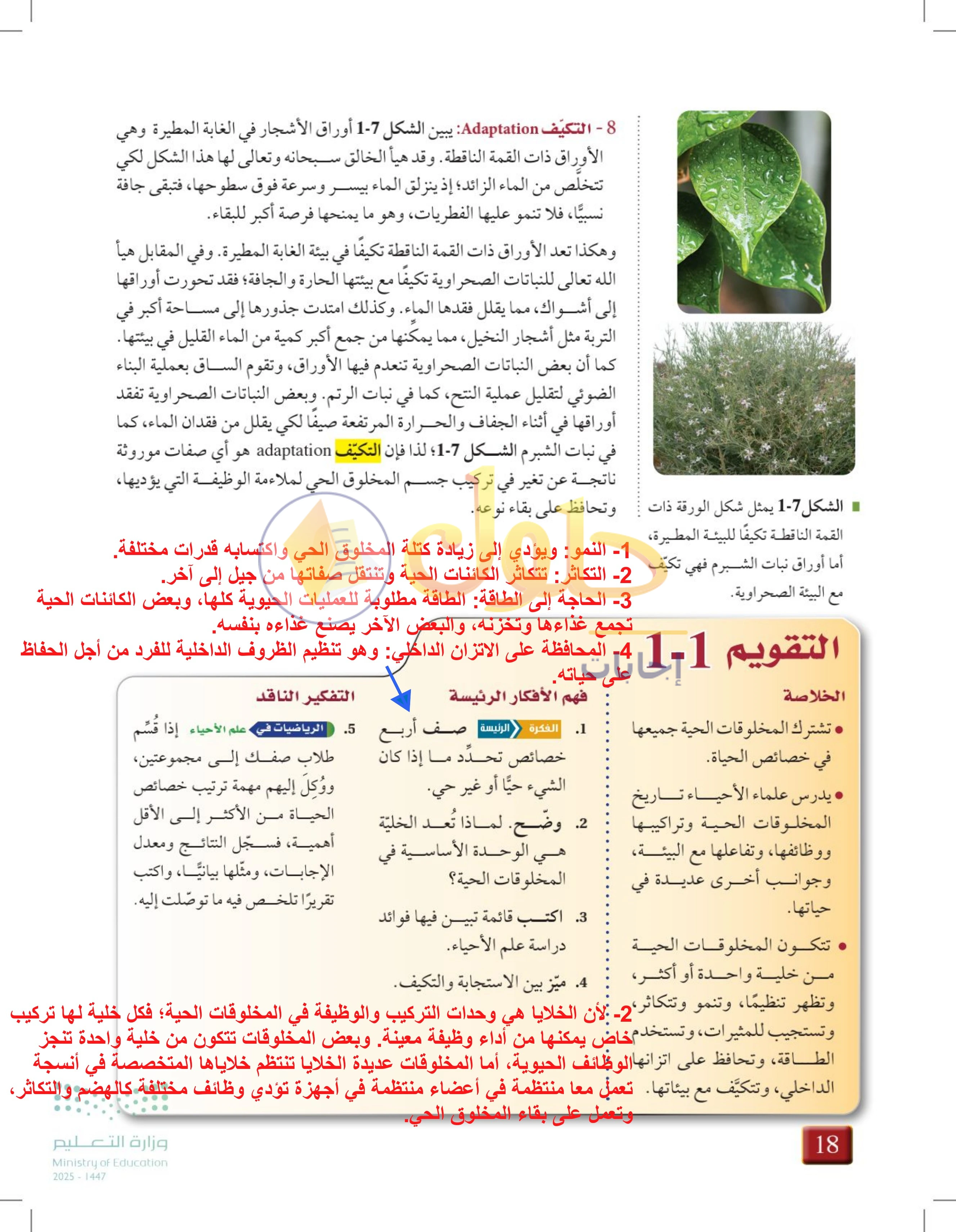 حل أنشطة درس 1-1: مدخل إلى علم الأحياء — صفحة 18 — الجزء 1