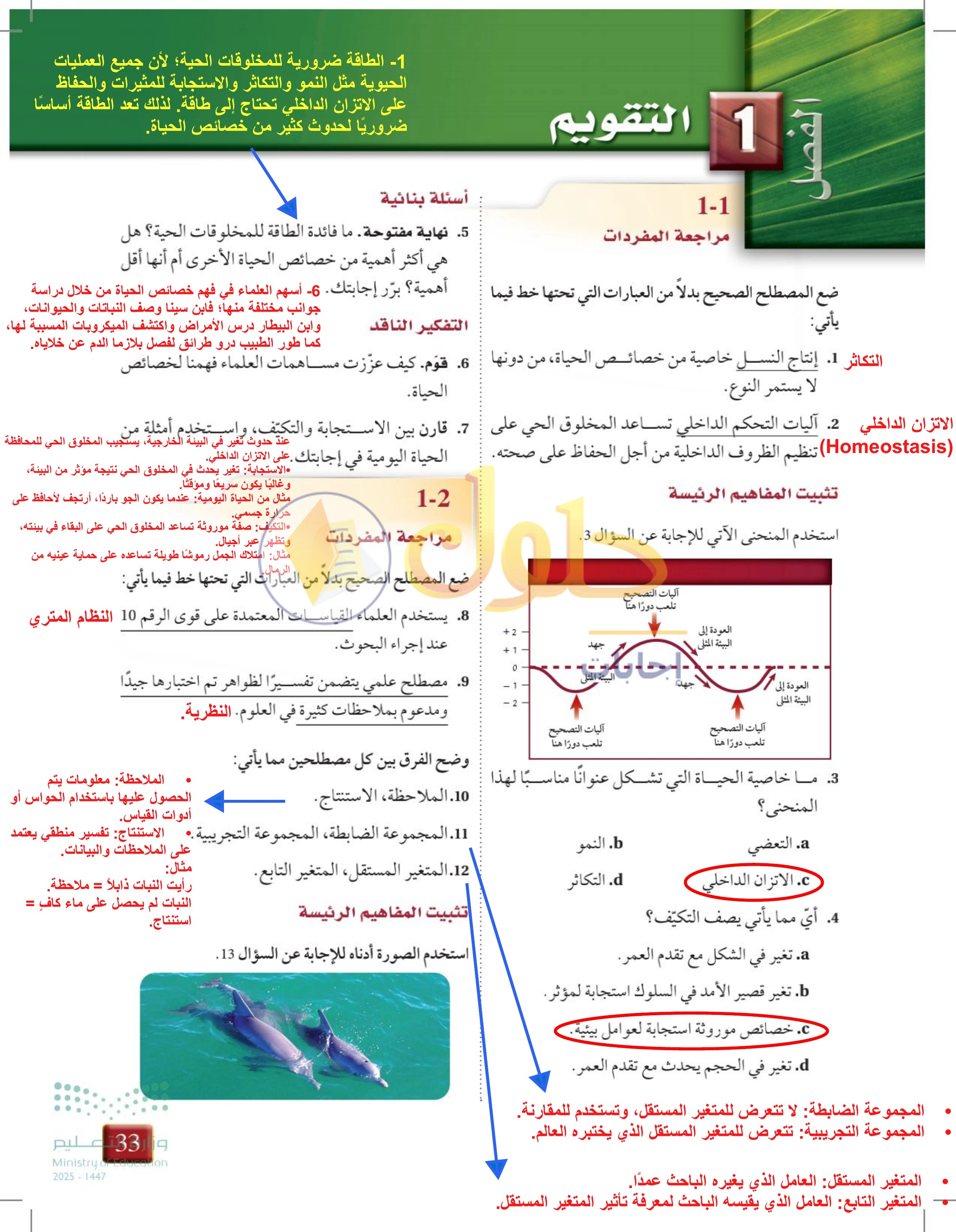 حل تقويم الفصل 1 — صفحة 33