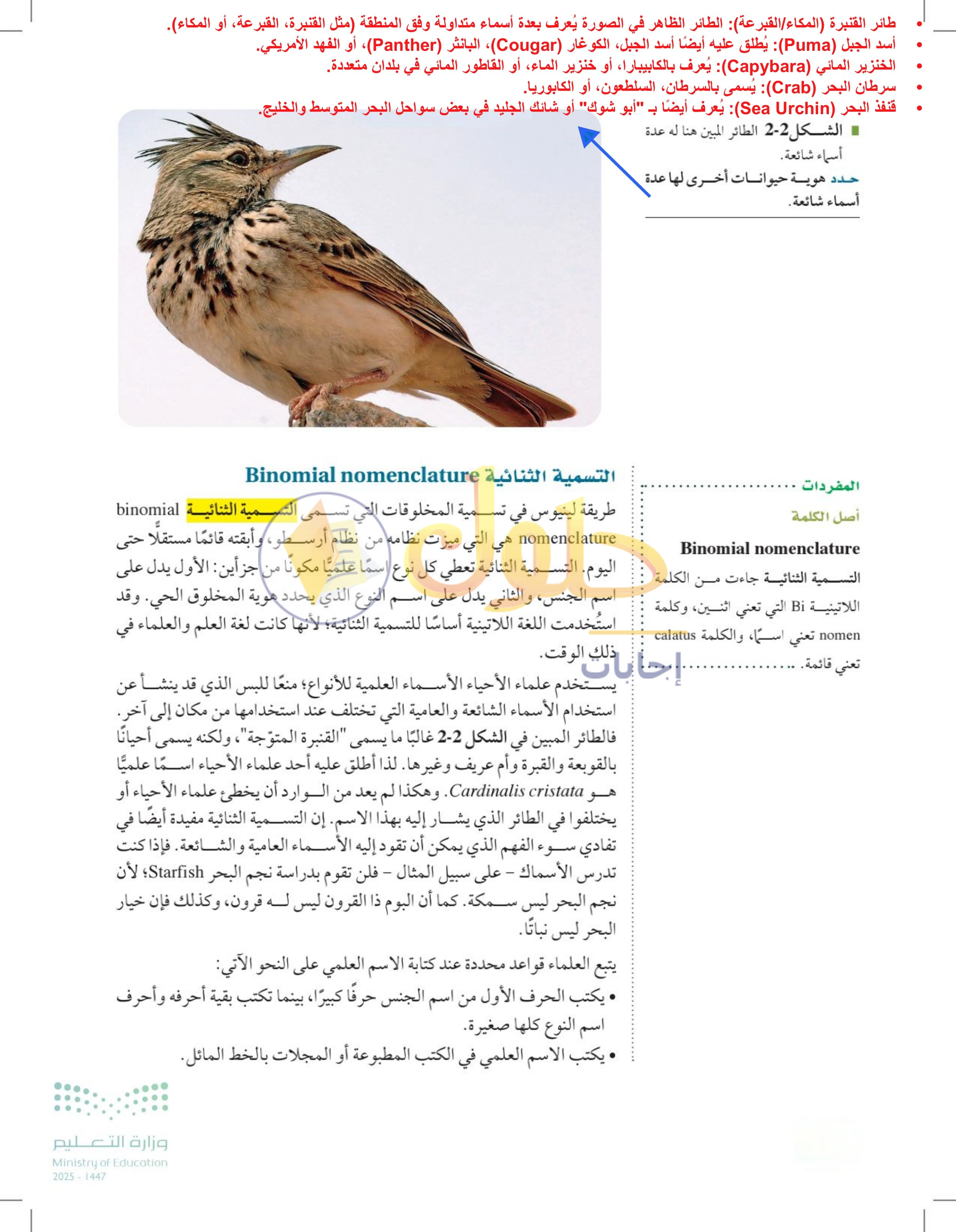 حل أنشطة درس 2-1: تاريخ التصنيف — صفحة 40