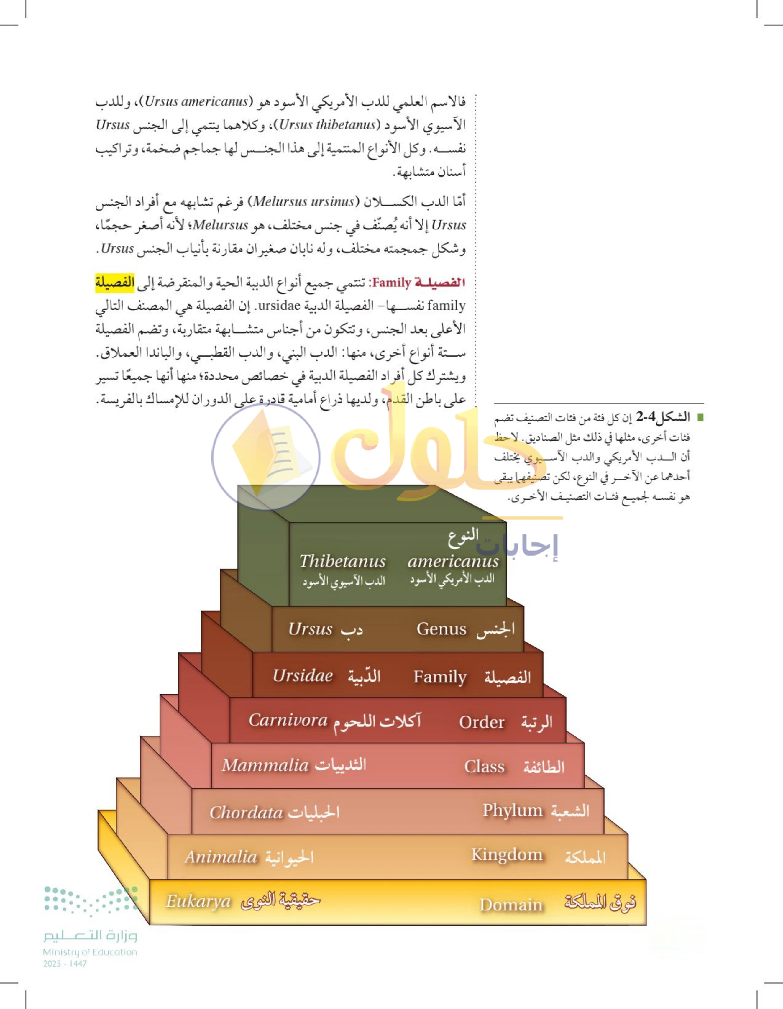 حل أنشطة درس 2-1: تاريخ التصنيف — صفحة 42