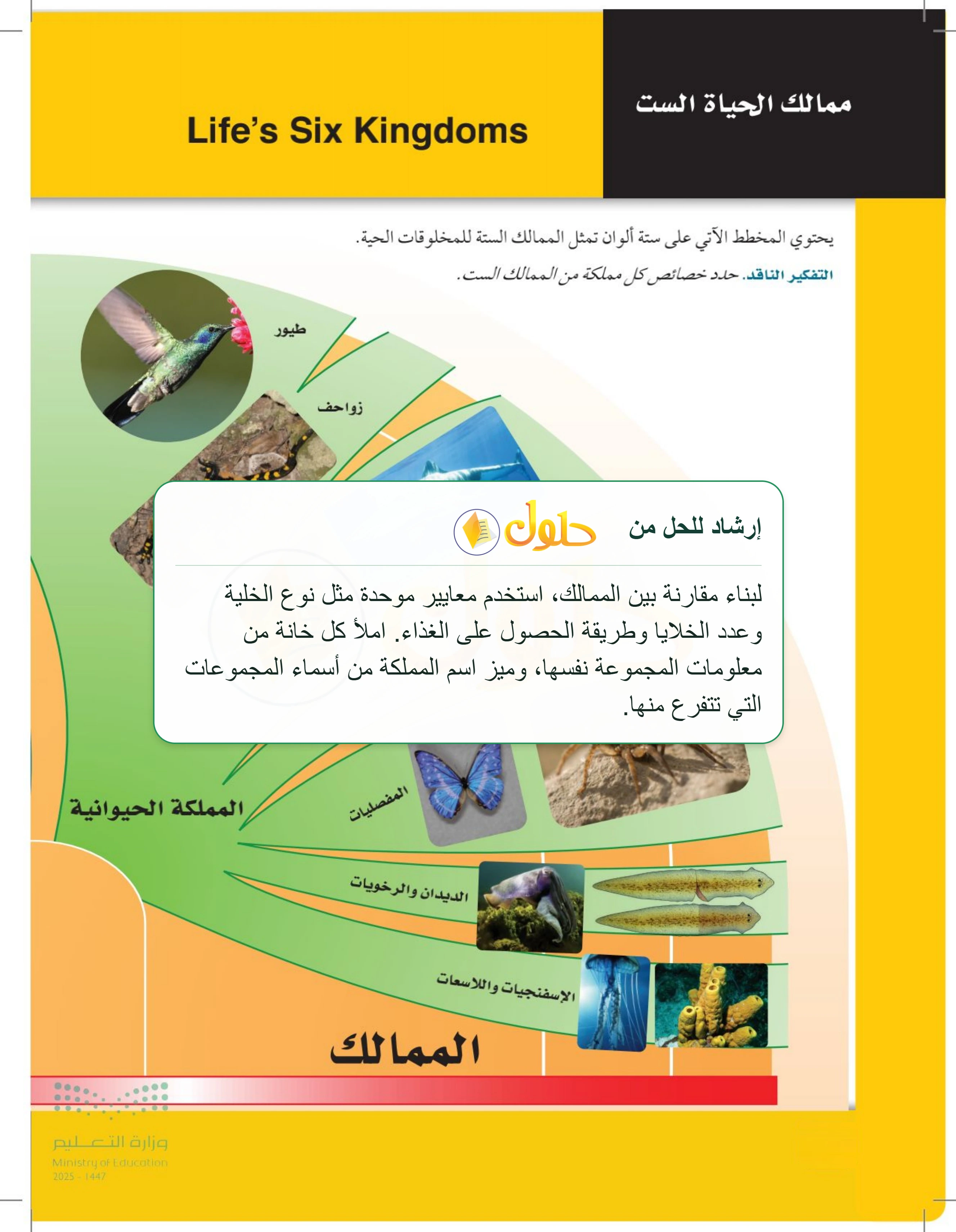 شرح وملخص درس 2-2: التصنيف الحديث — صفحة 50