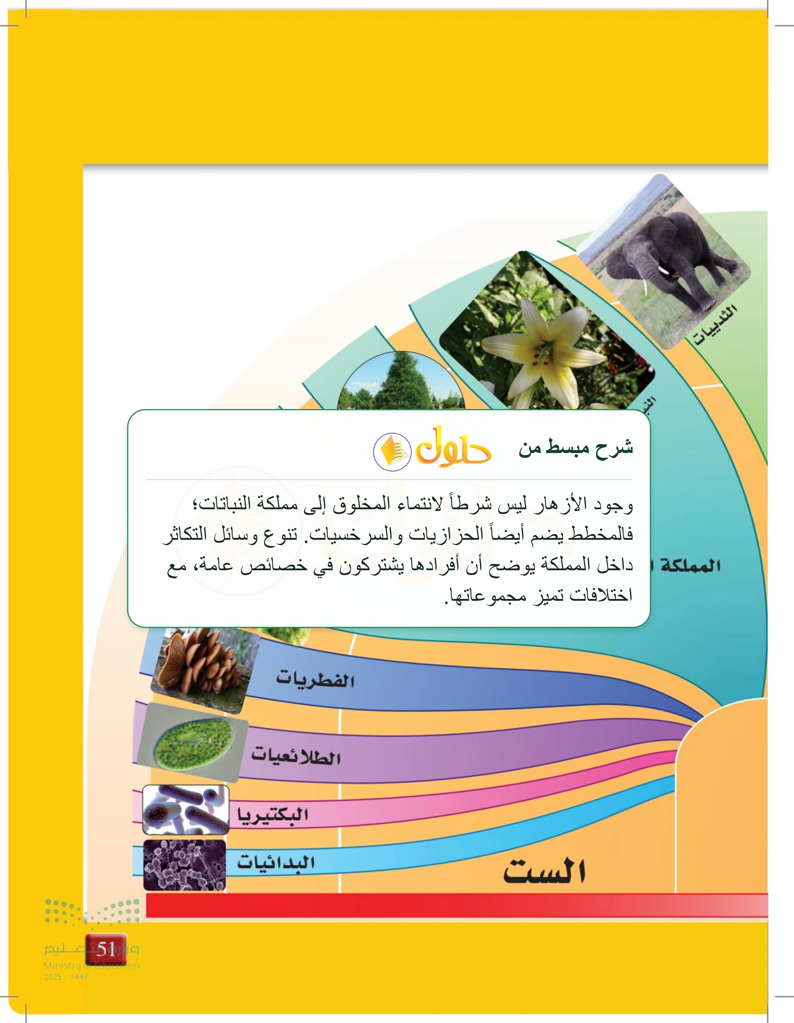 شرح وملخص درس 2-2: التصنيف الحديث — صفحة 51