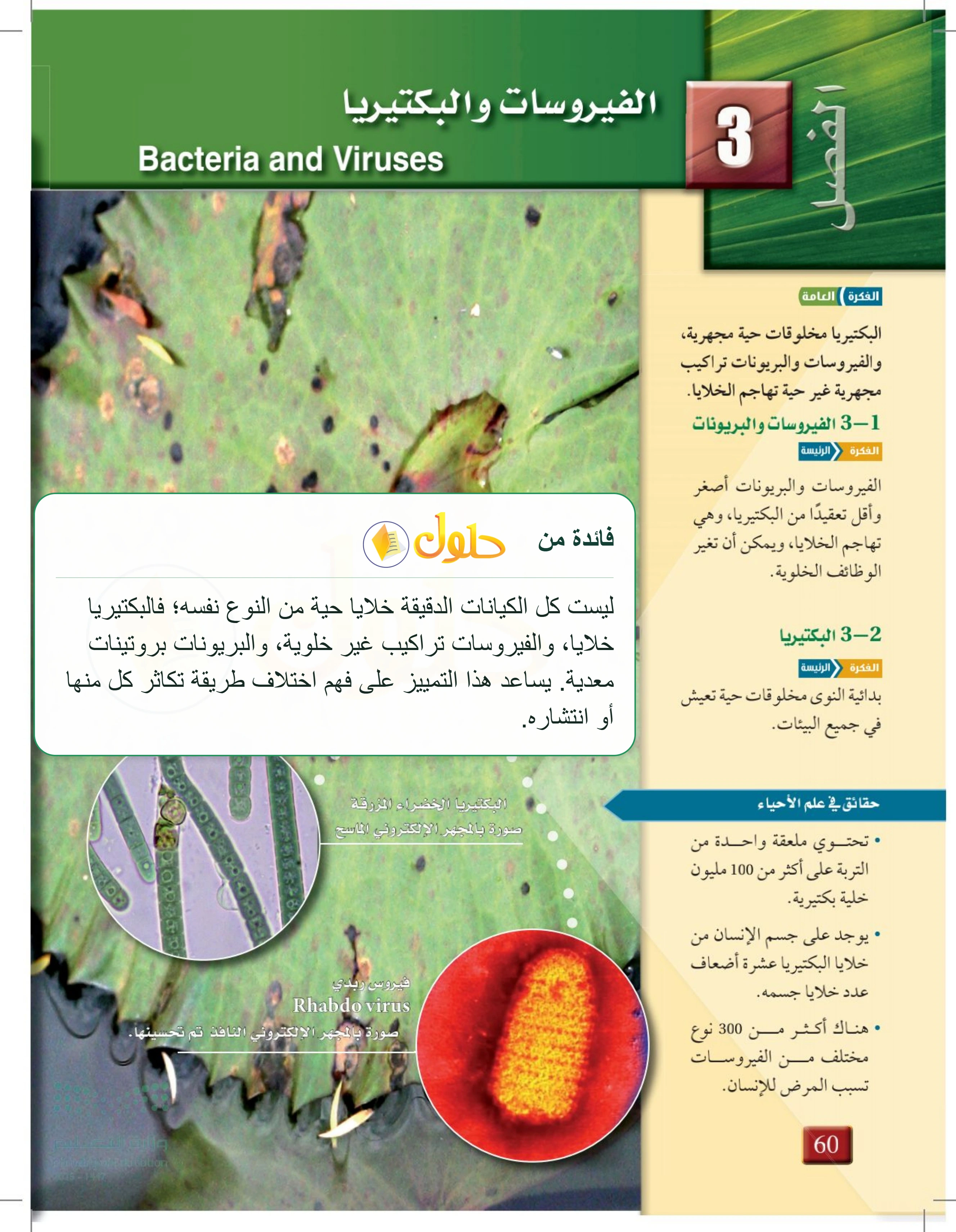 شرح وملخص مدخل الفصل 3: الفيروسات والبكتيريا — صفحة 60