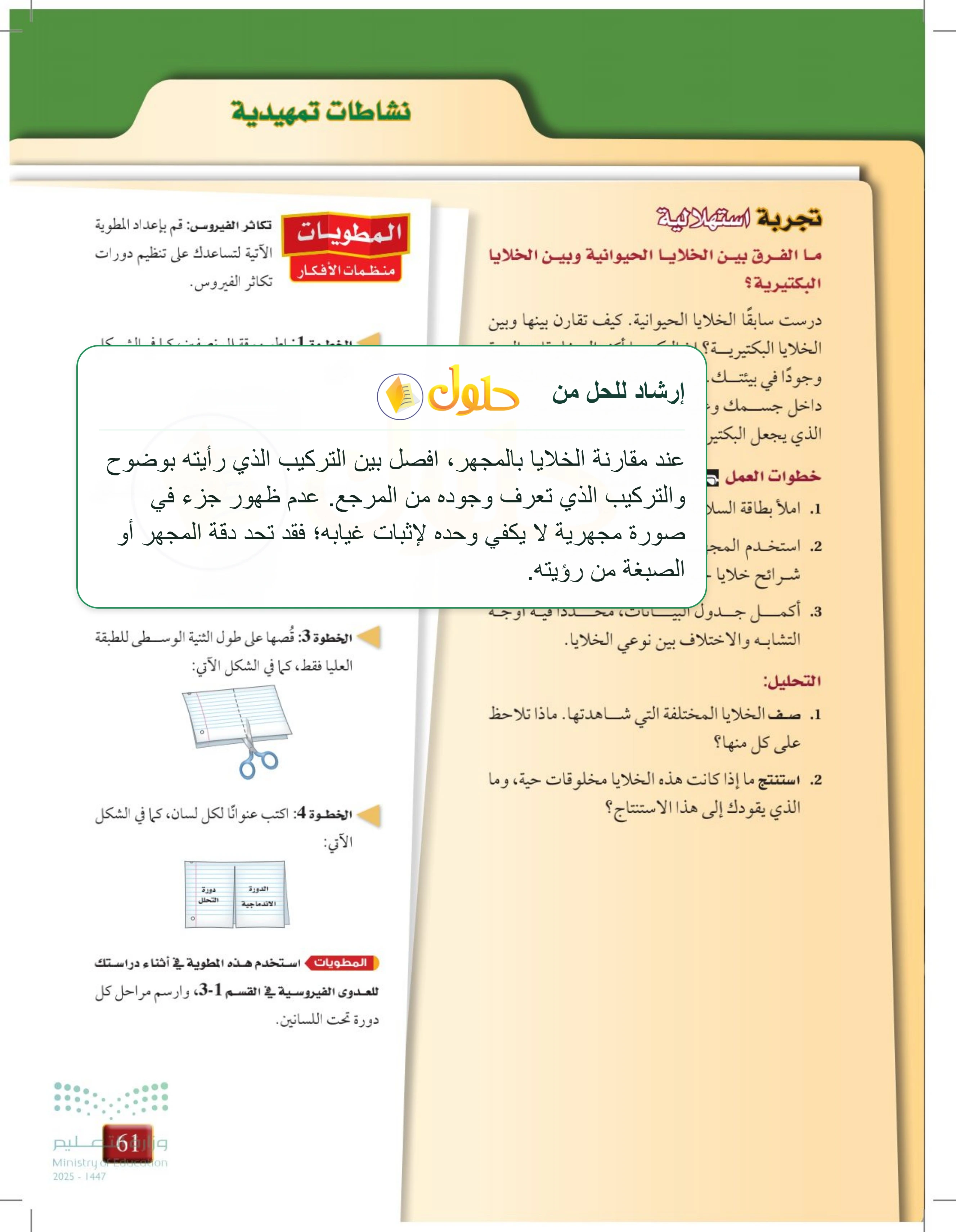 شرح وملخص التجربة الاستهلالية للفصل 3 — صفحة 61