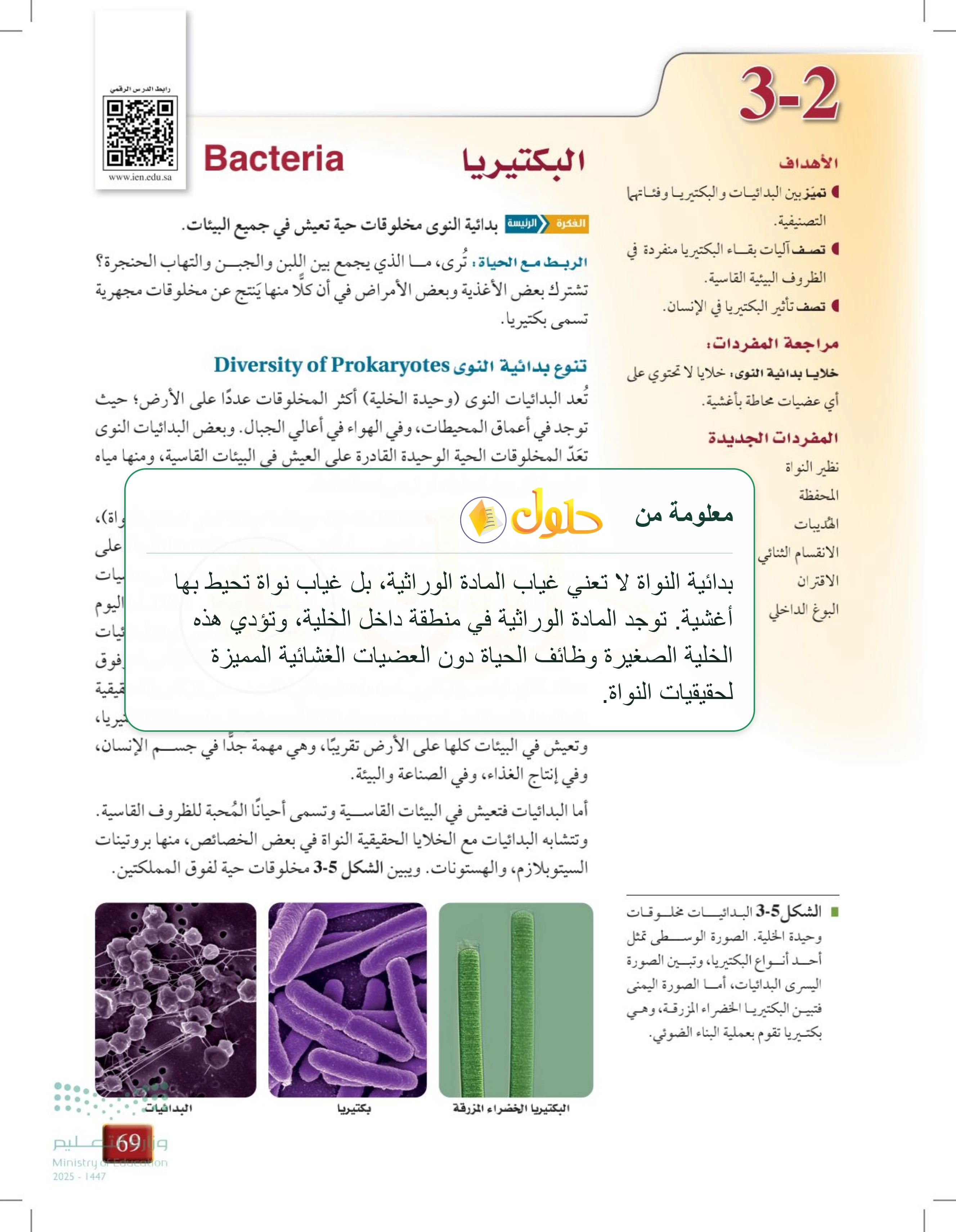 شرح وملخص درس 3-2: البكتيريا — صفحة 69