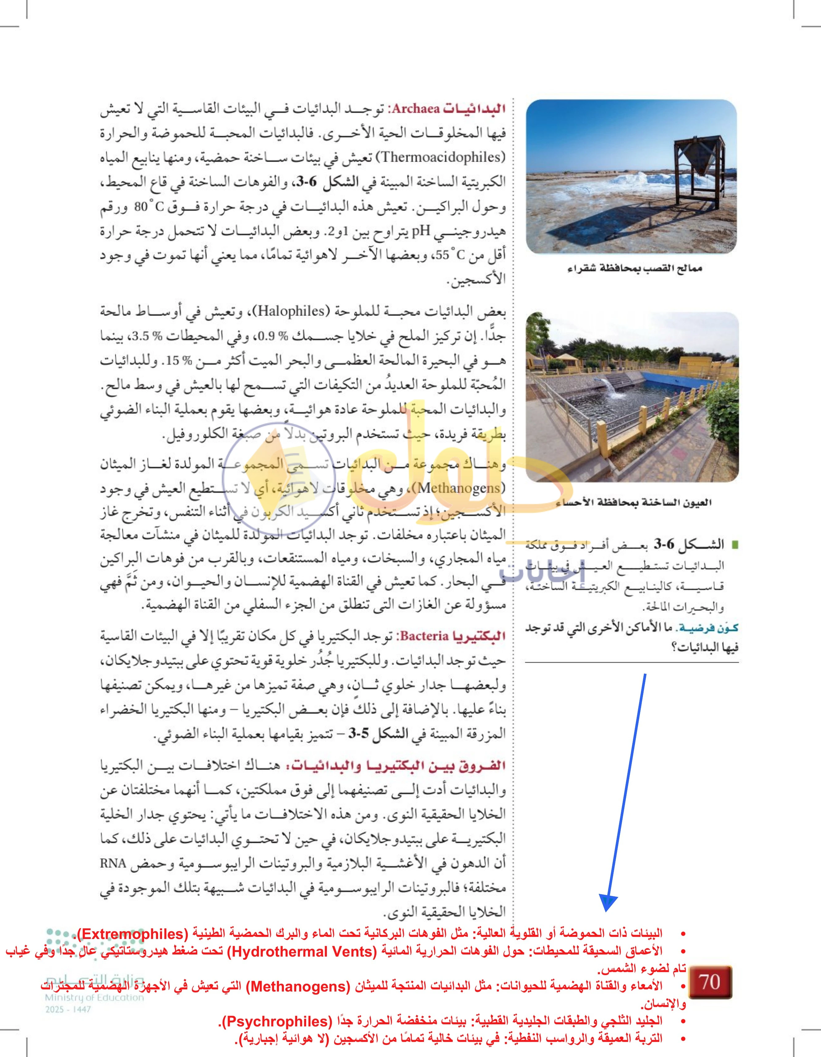 شرح وملخص درس 3-2: البكتيريا — صفحة 70
