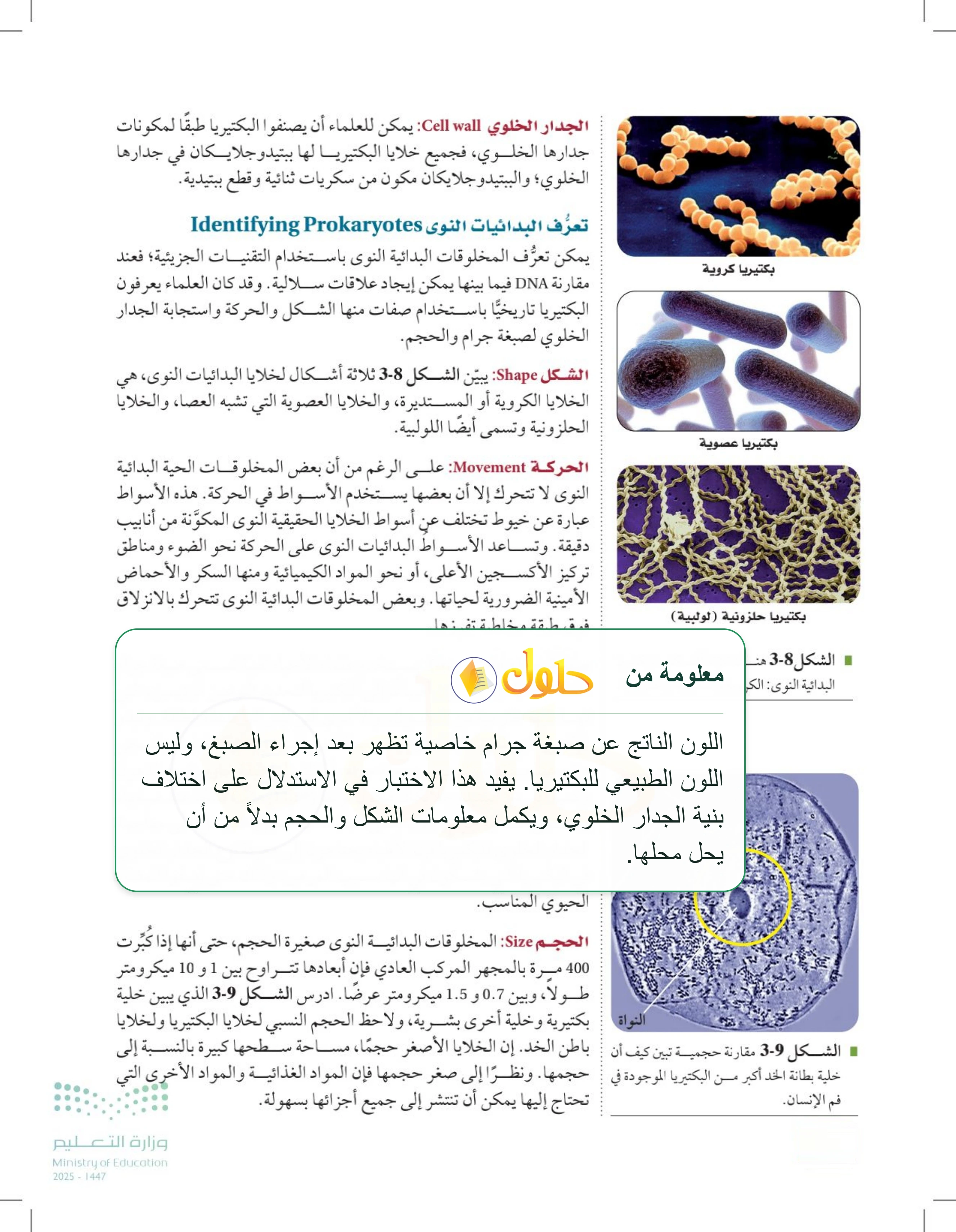شرح وملخص درس 3-2: البكتيريا — صفحة 72