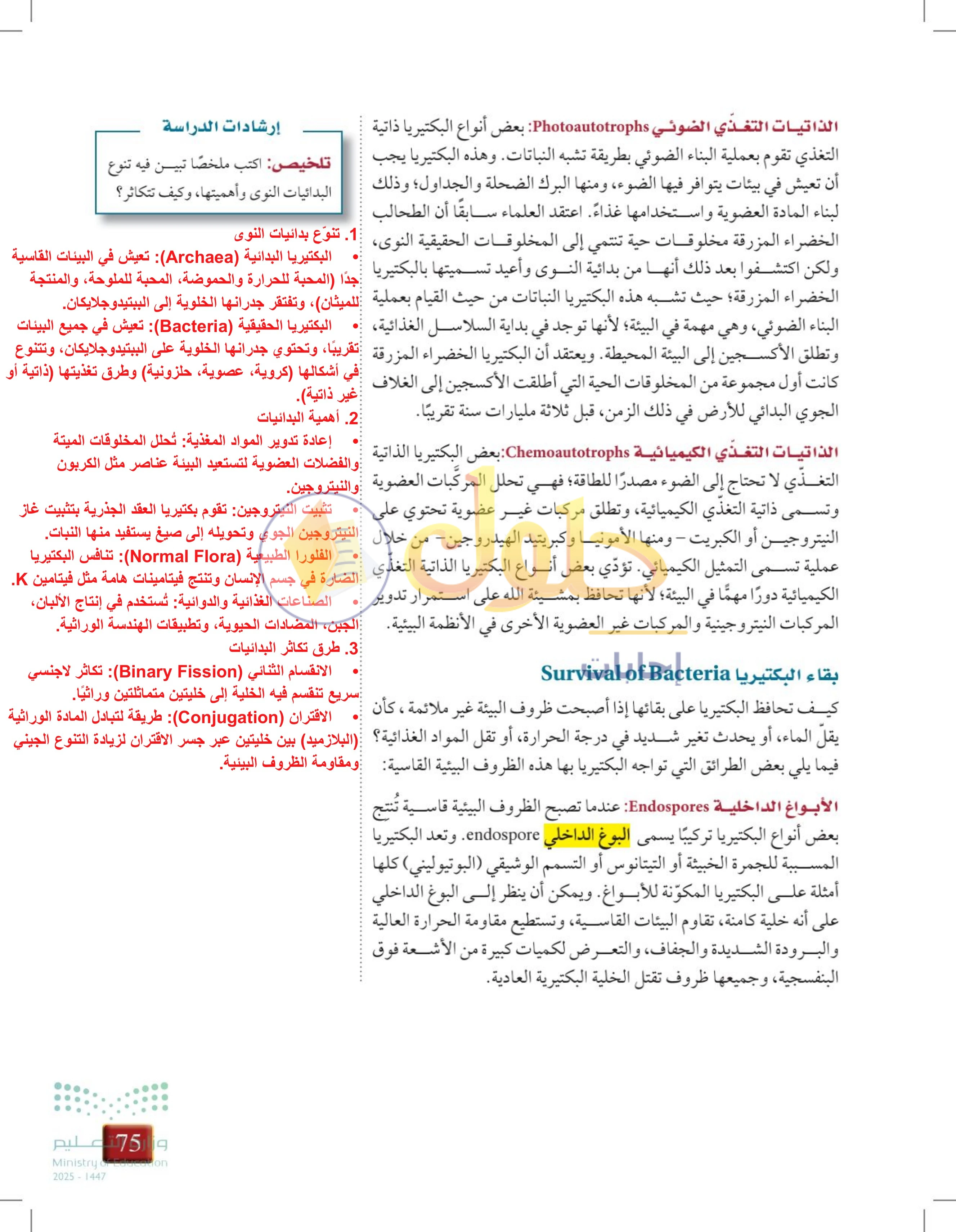 حل أنشطة درس 3-2: البكتيريا — صفحة 75