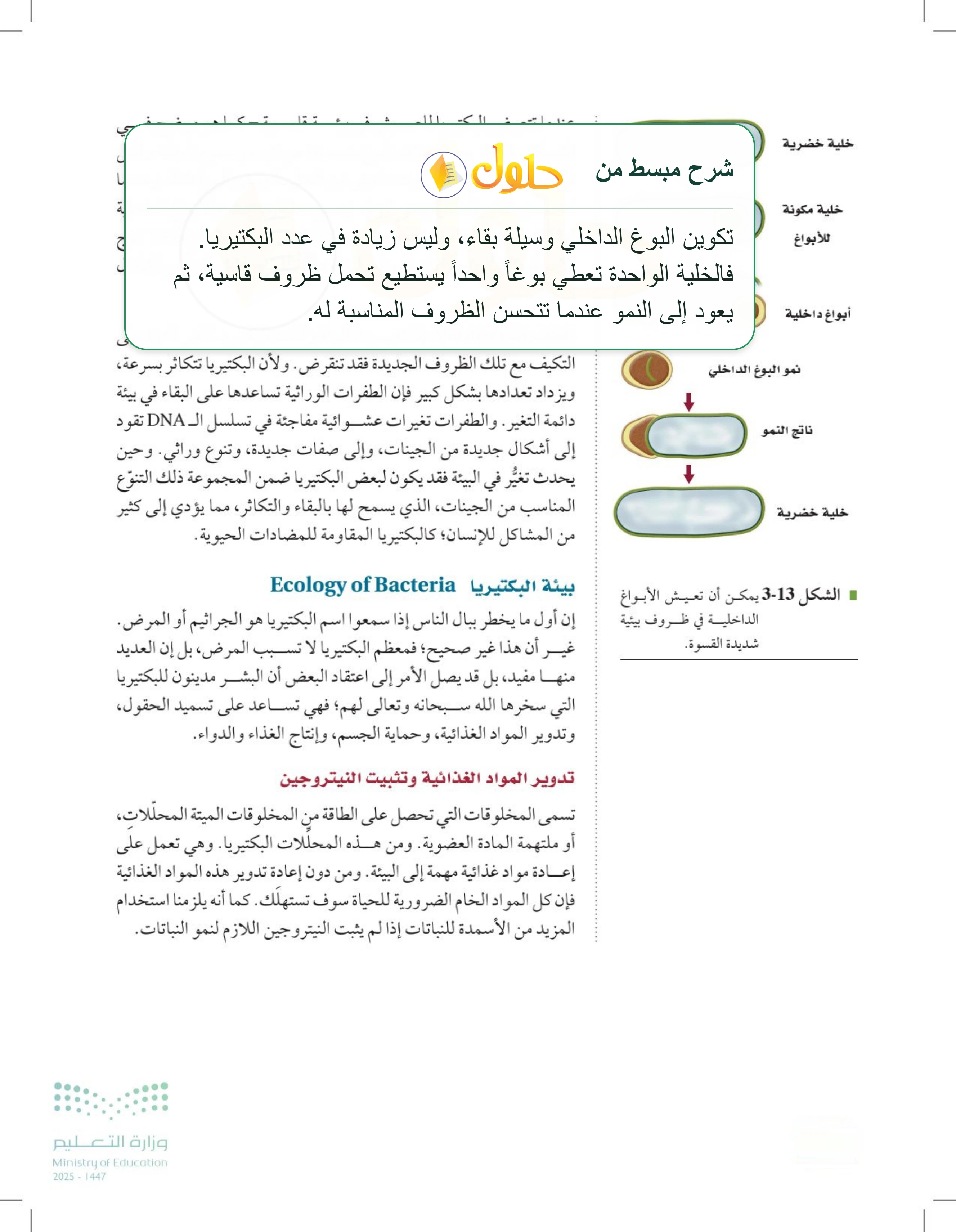 شرح وملخص درس 3-2: البكتيريا — صفحة 76