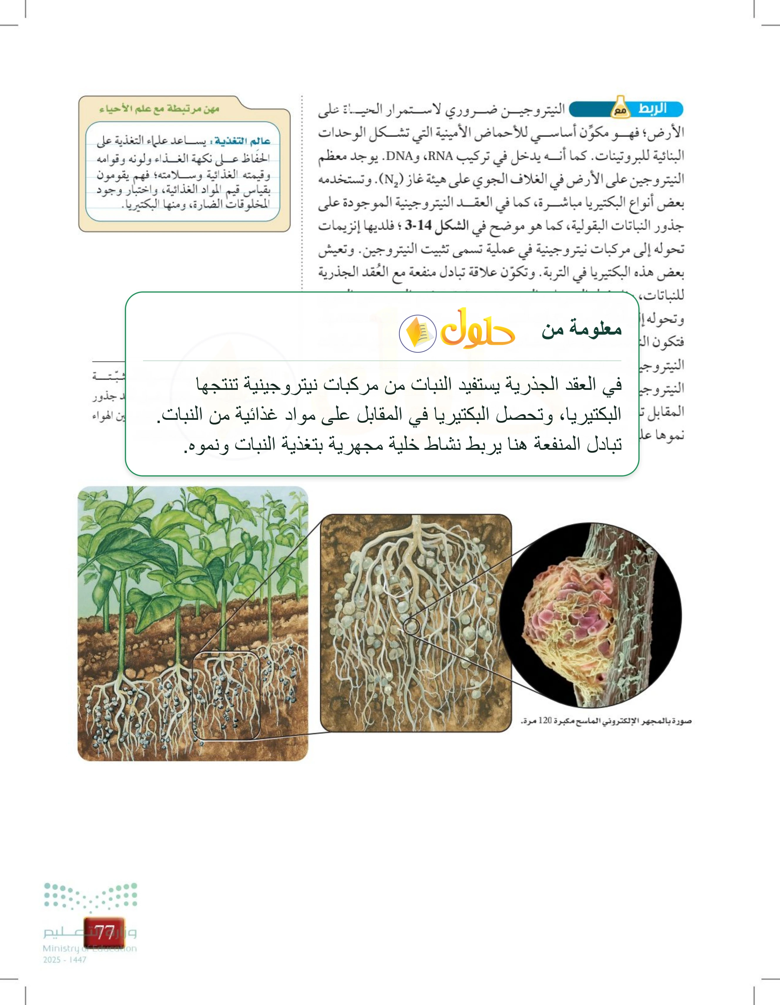 شرح وملخص درس 3-2: البكتيريا — صفحة 77