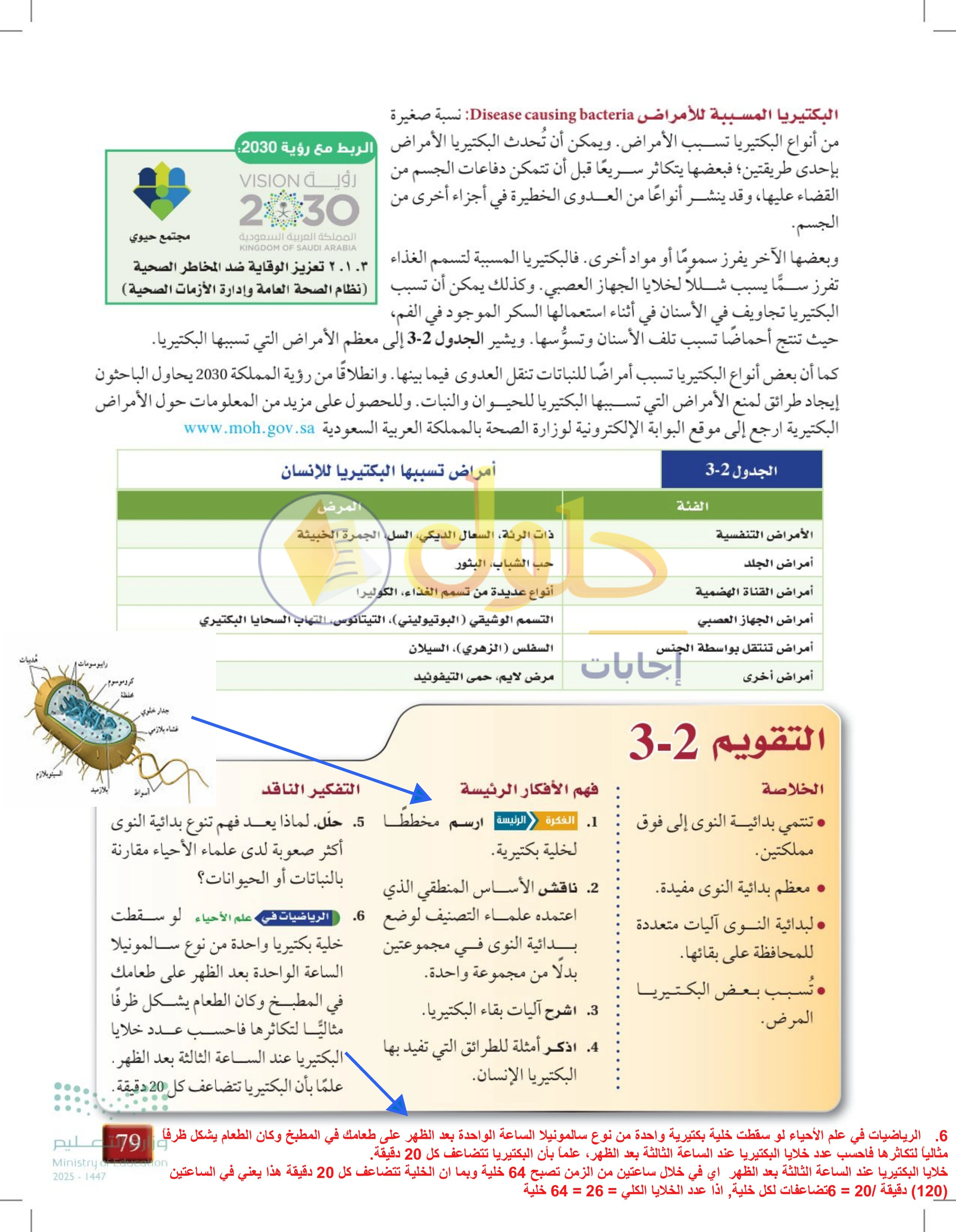 حل أنشطة درس 3-2: البكتيريا — صفحة 79 — الجزء 1