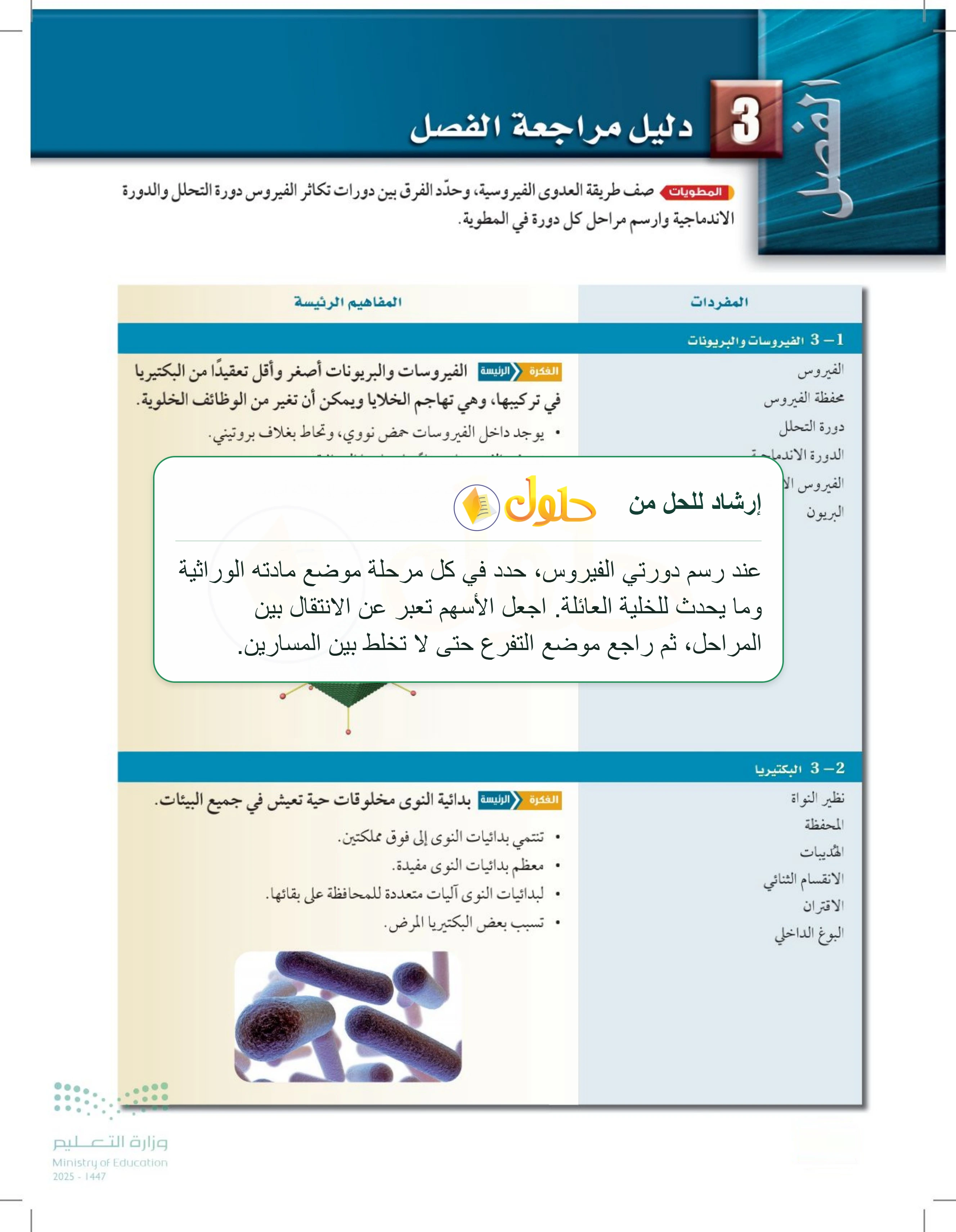 شرح وملخص دليل مراجعة الفصل 3 — صفحة 82