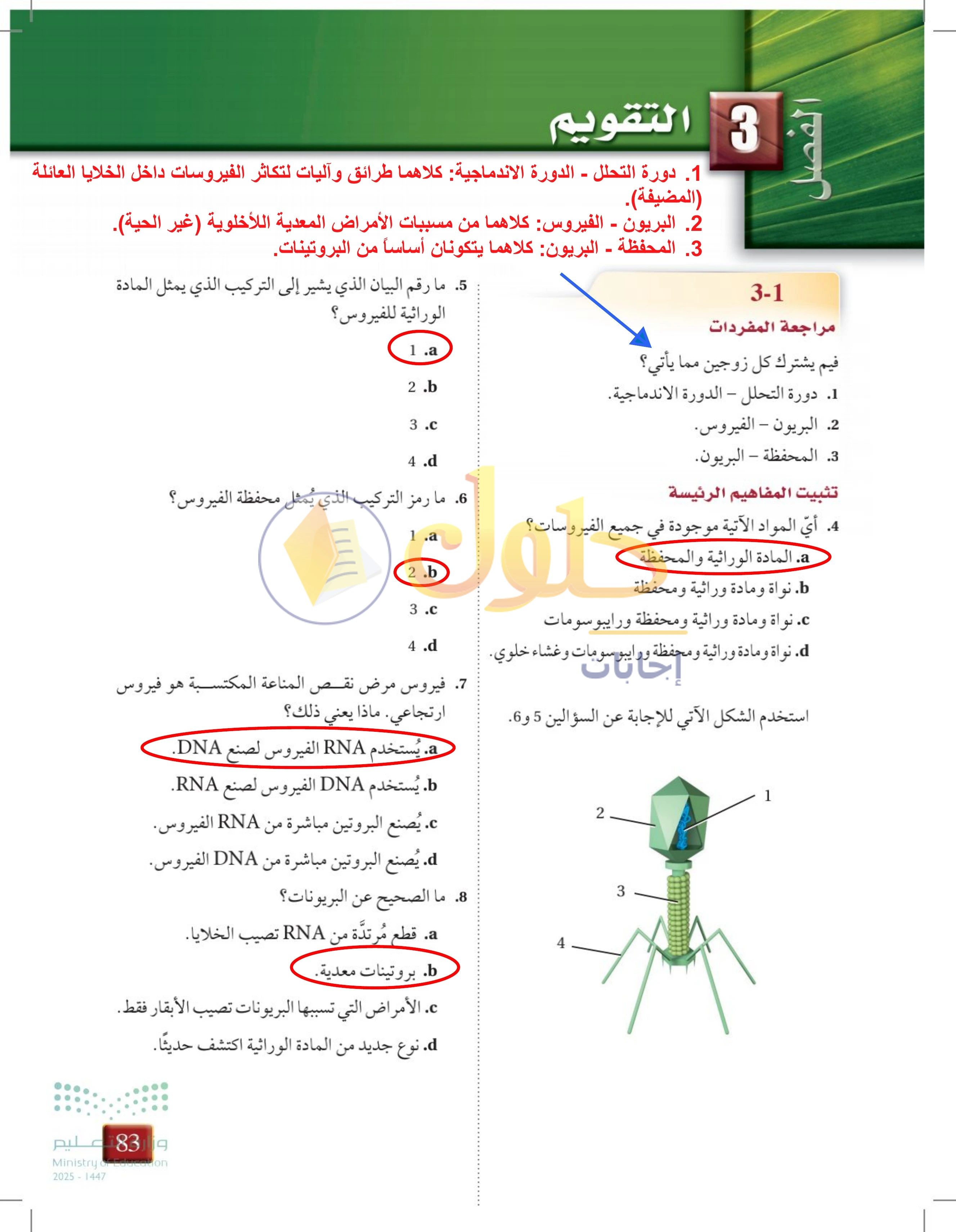 حل تقويم الفصل 3 — صفحة 83