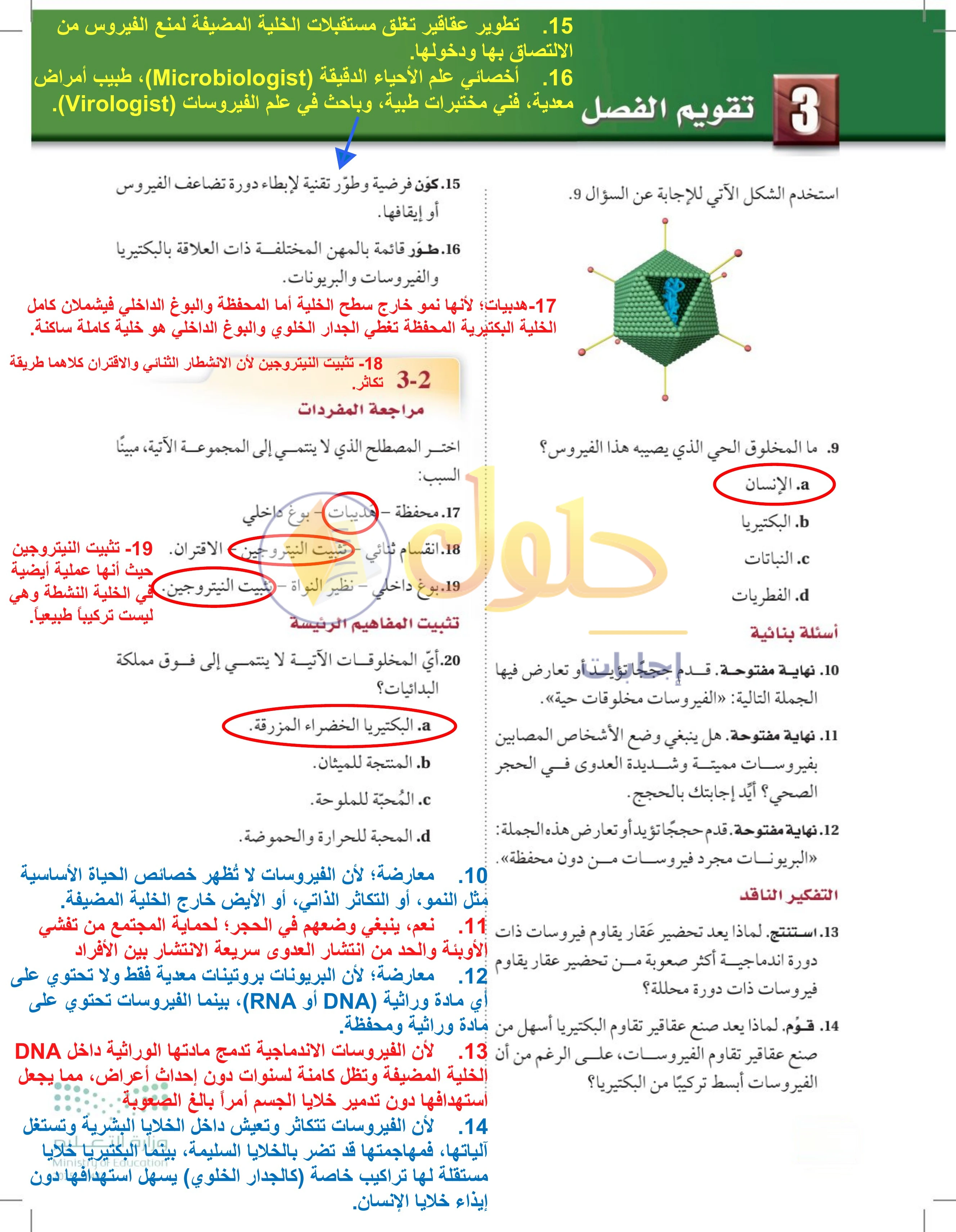 حل تقويم الفصل 3 — صفحة 84