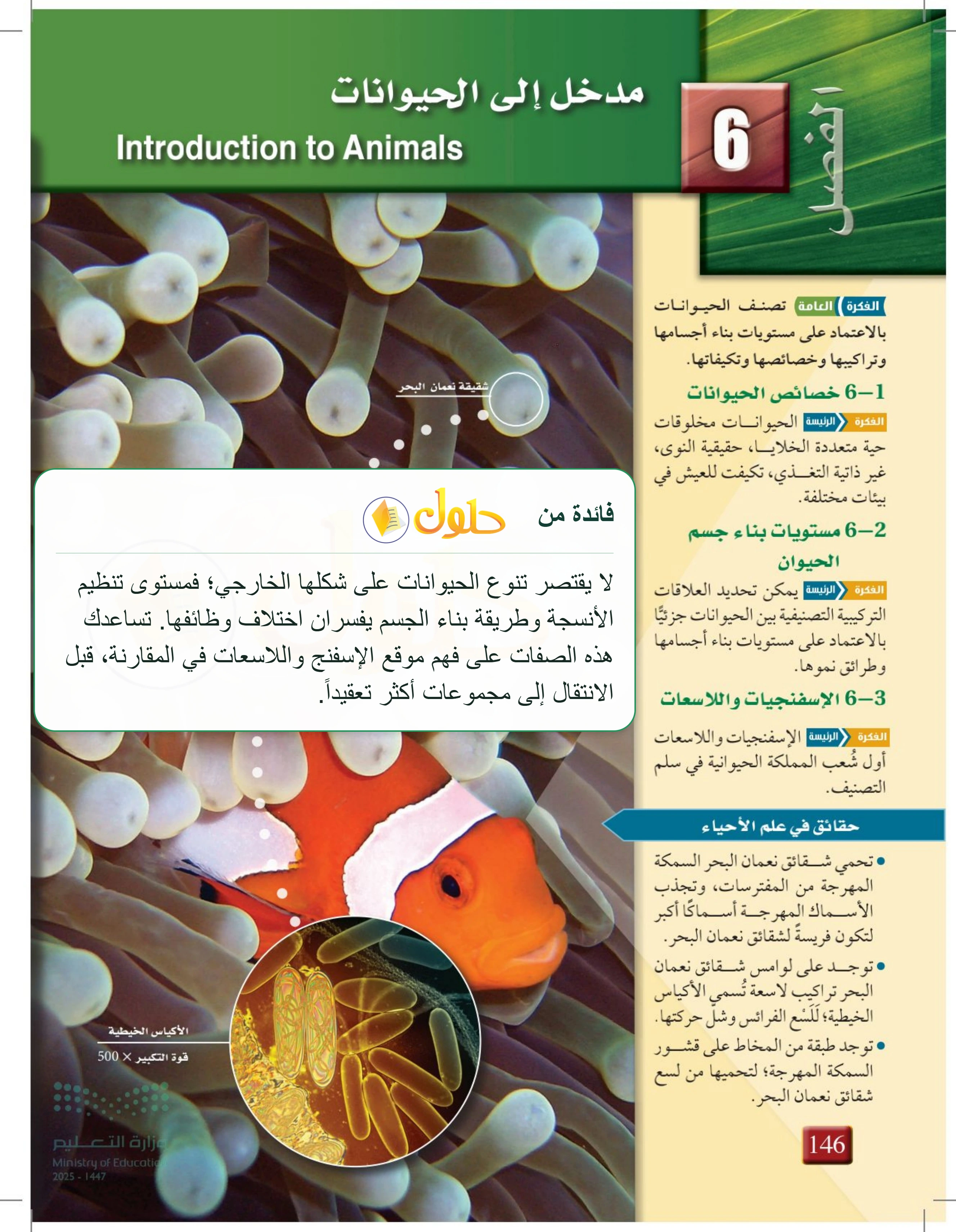 شرح وملخص مدخل الفصل 6: مدخل إلى الحيوانات — صفحة 146