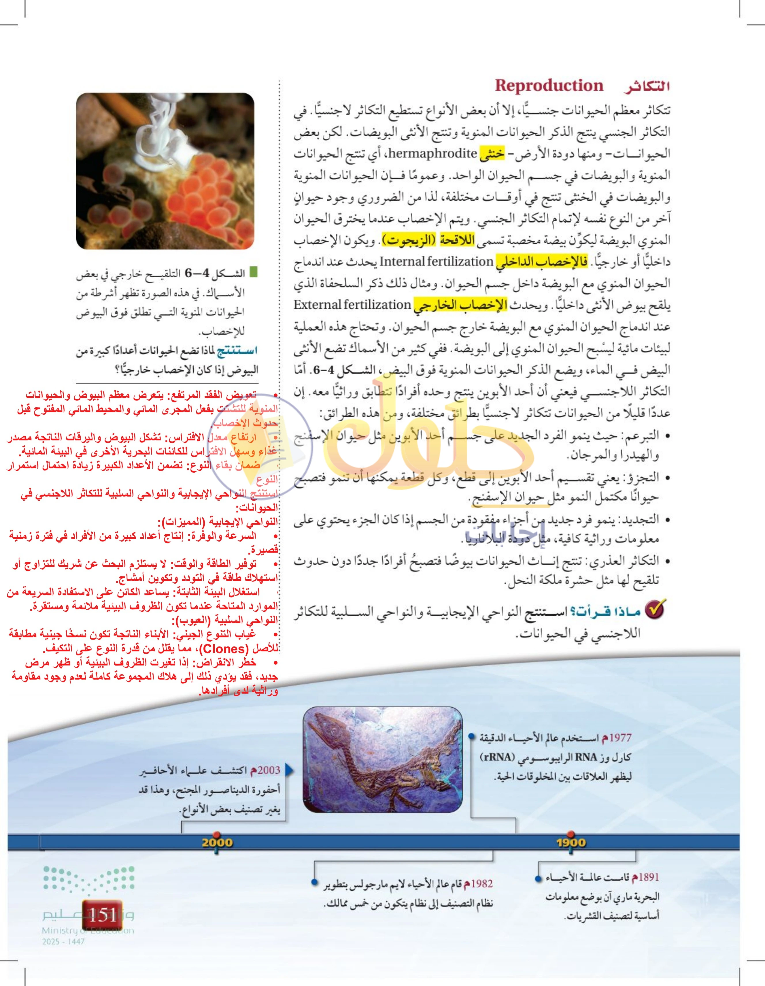 حل أنشطة درس 6-1: خصائص الحيوانات — صفحة 151