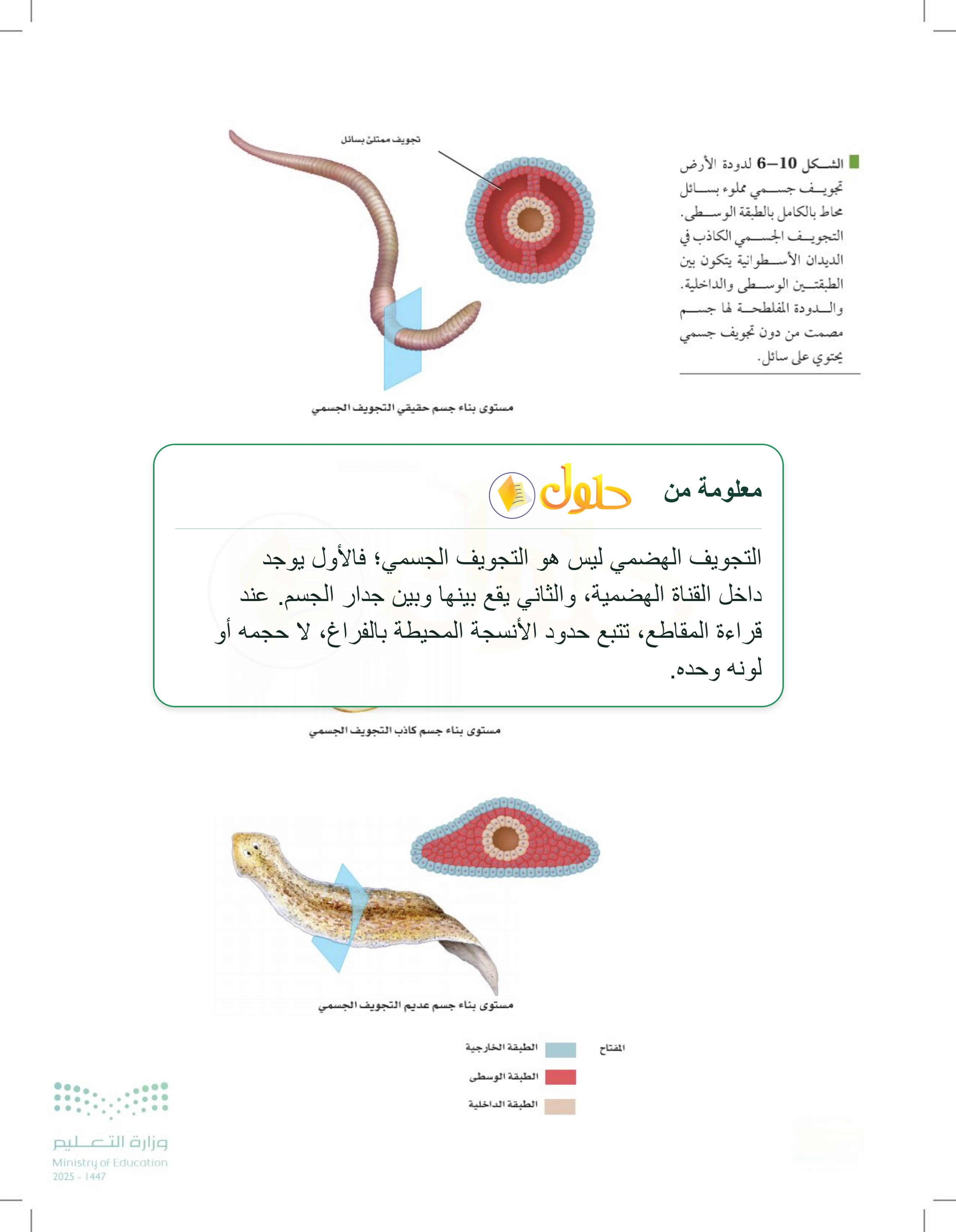 شرح وملخص درس 6-2: مستويات بناء جسم الحيوان — صفحة 158
