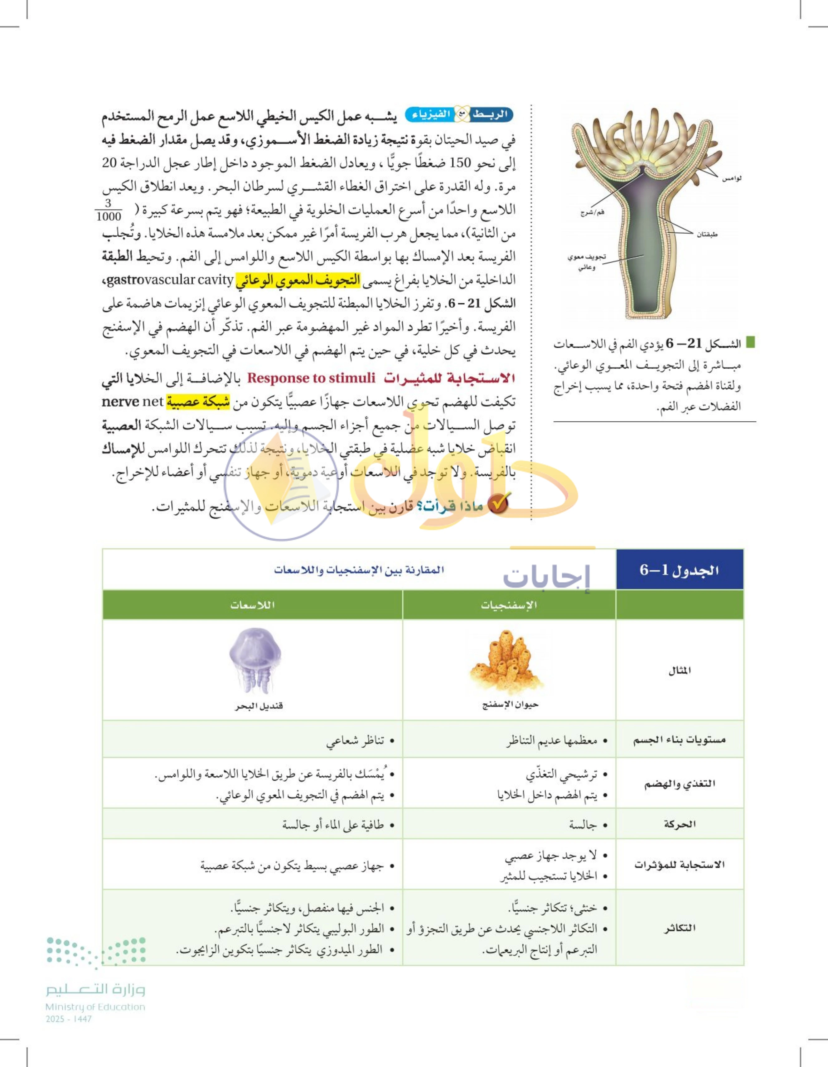 حل أنشطة درس 6-3: الإسفنجيات واللاسعات — صفحة 168
