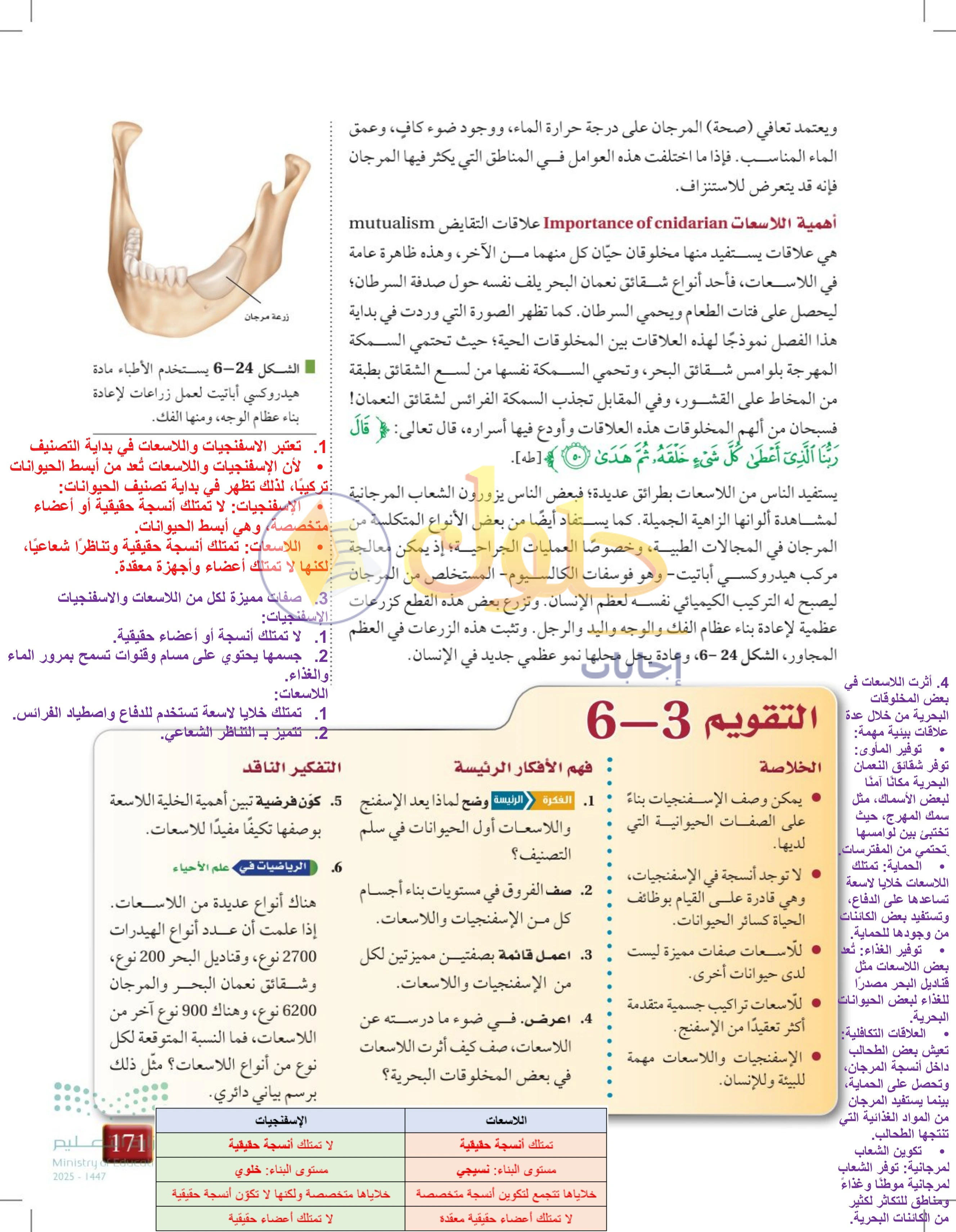 حل أنشطة درس 6-3: الإسفنجيات واللاسعات — صفحة 171