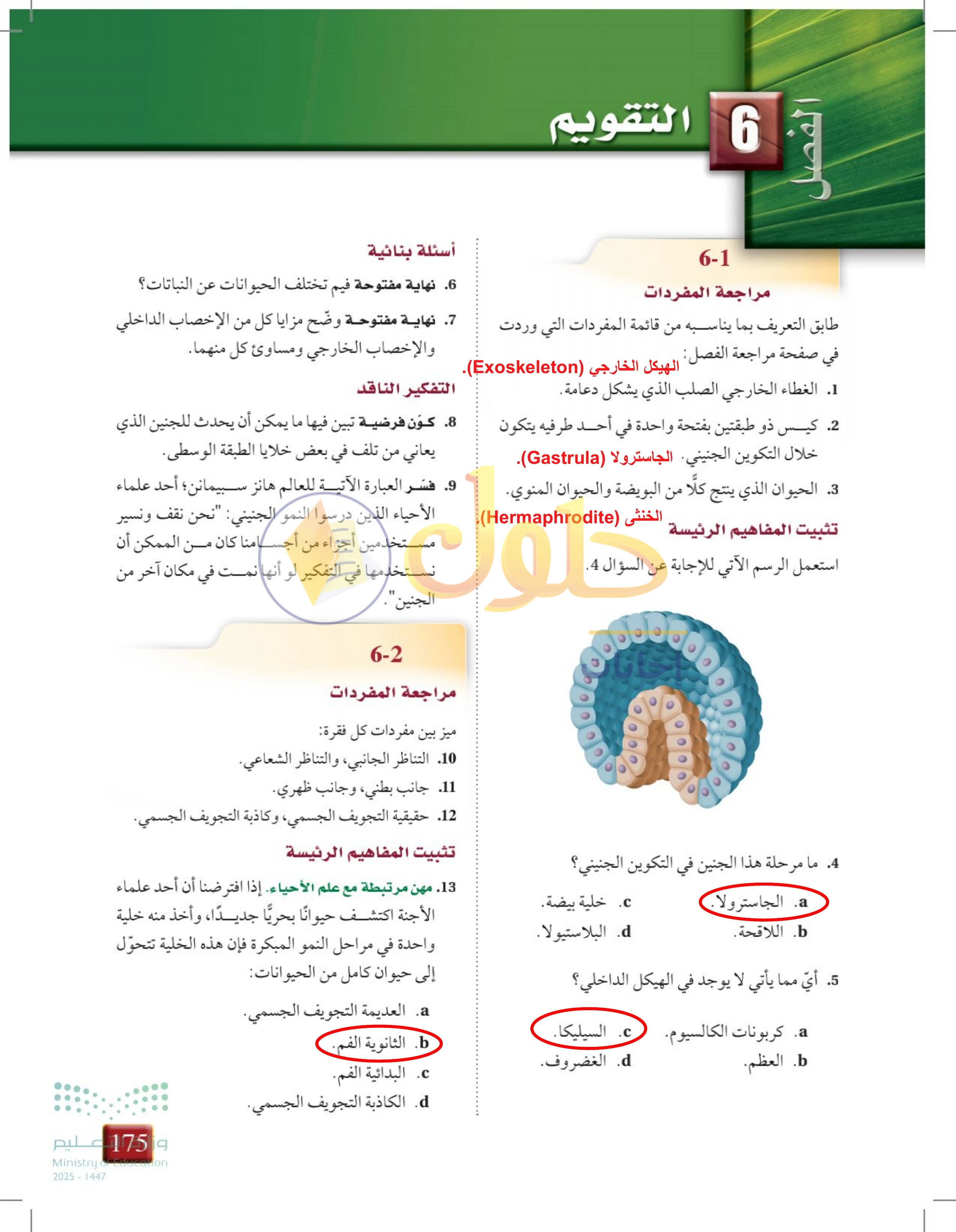 حل تقويم الفصل 6 — صفحة 175 — الجزء 1