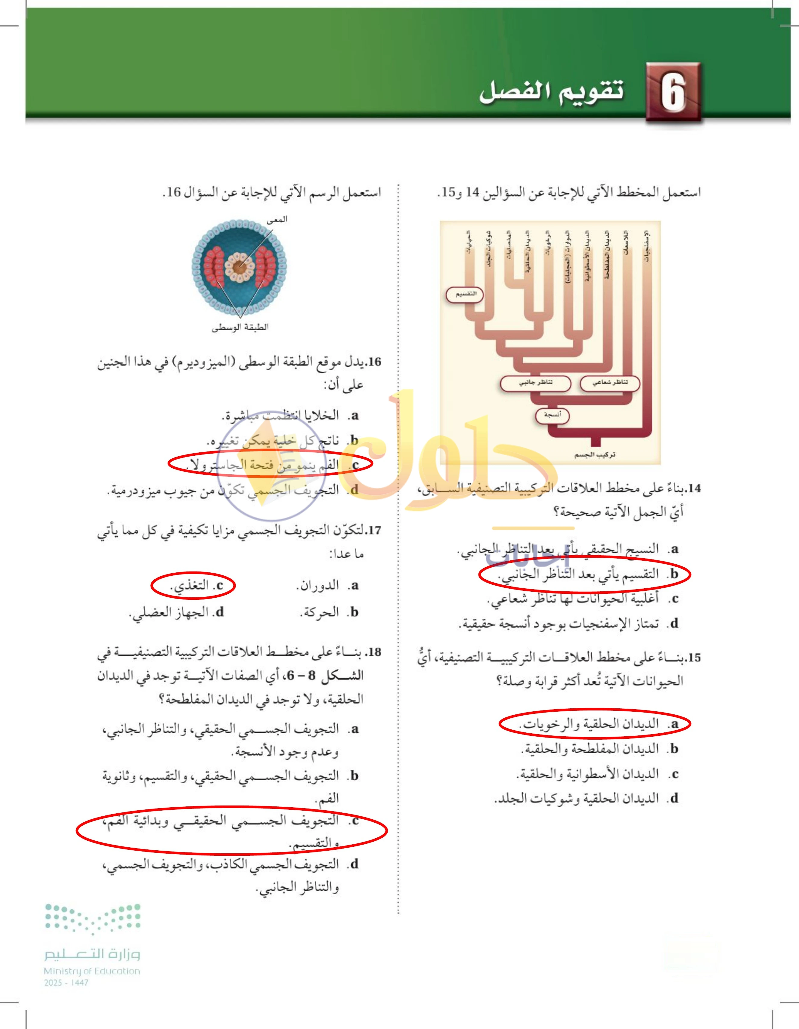 حل تقويم الفصل 6 — صفحة 176