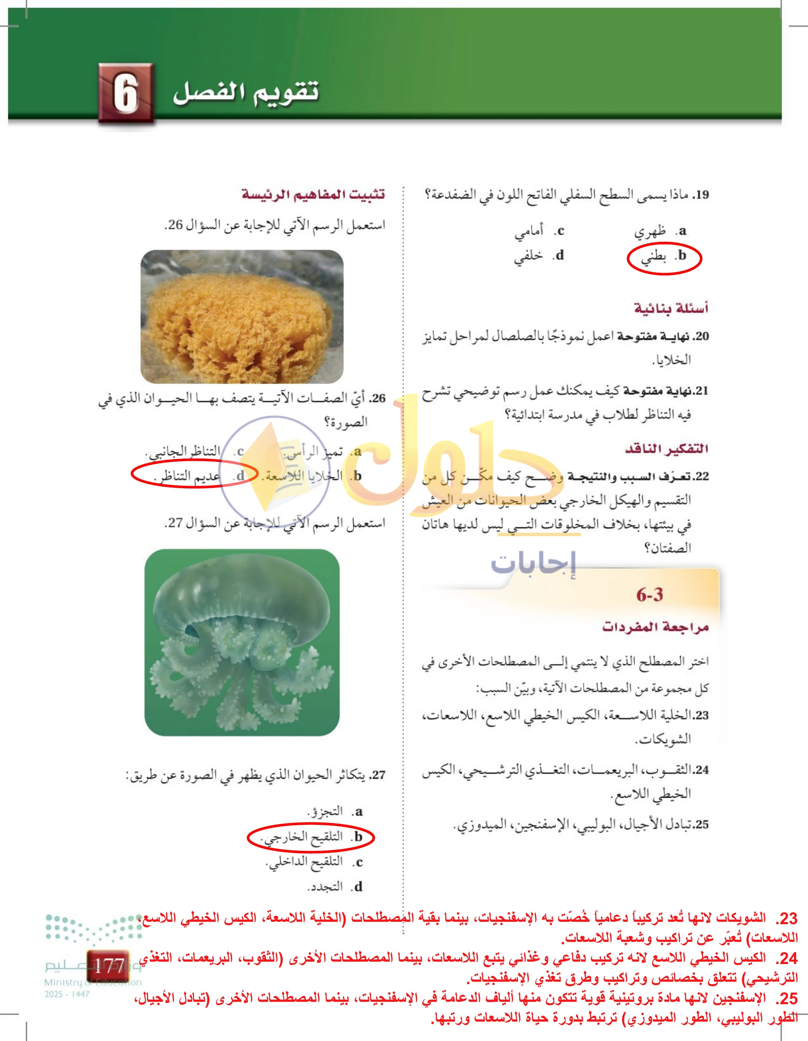 حل تقويم الفصل 6 — صفحة 177