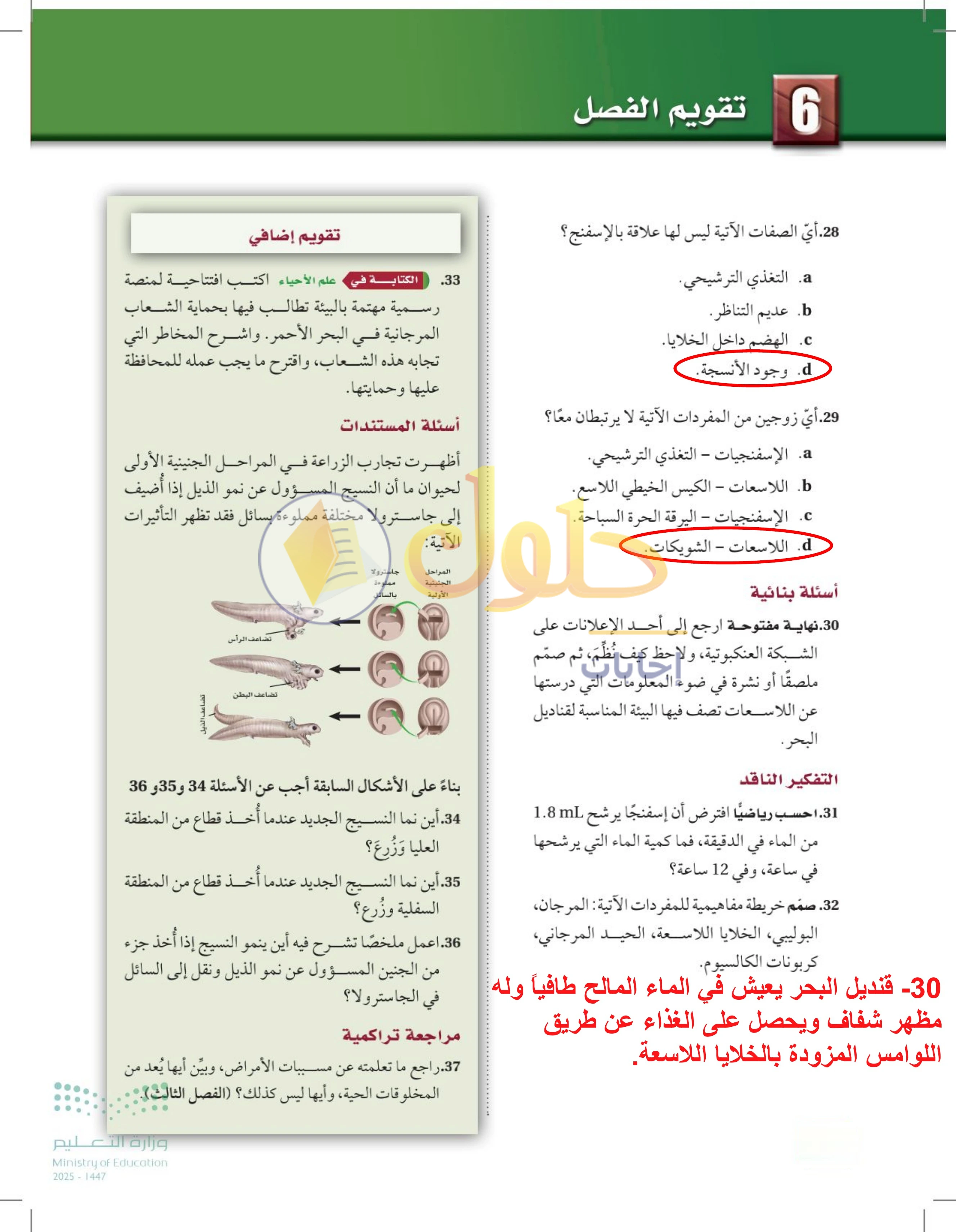حل تقويم الفصل 6 — صفحة 178 — الجزء 1