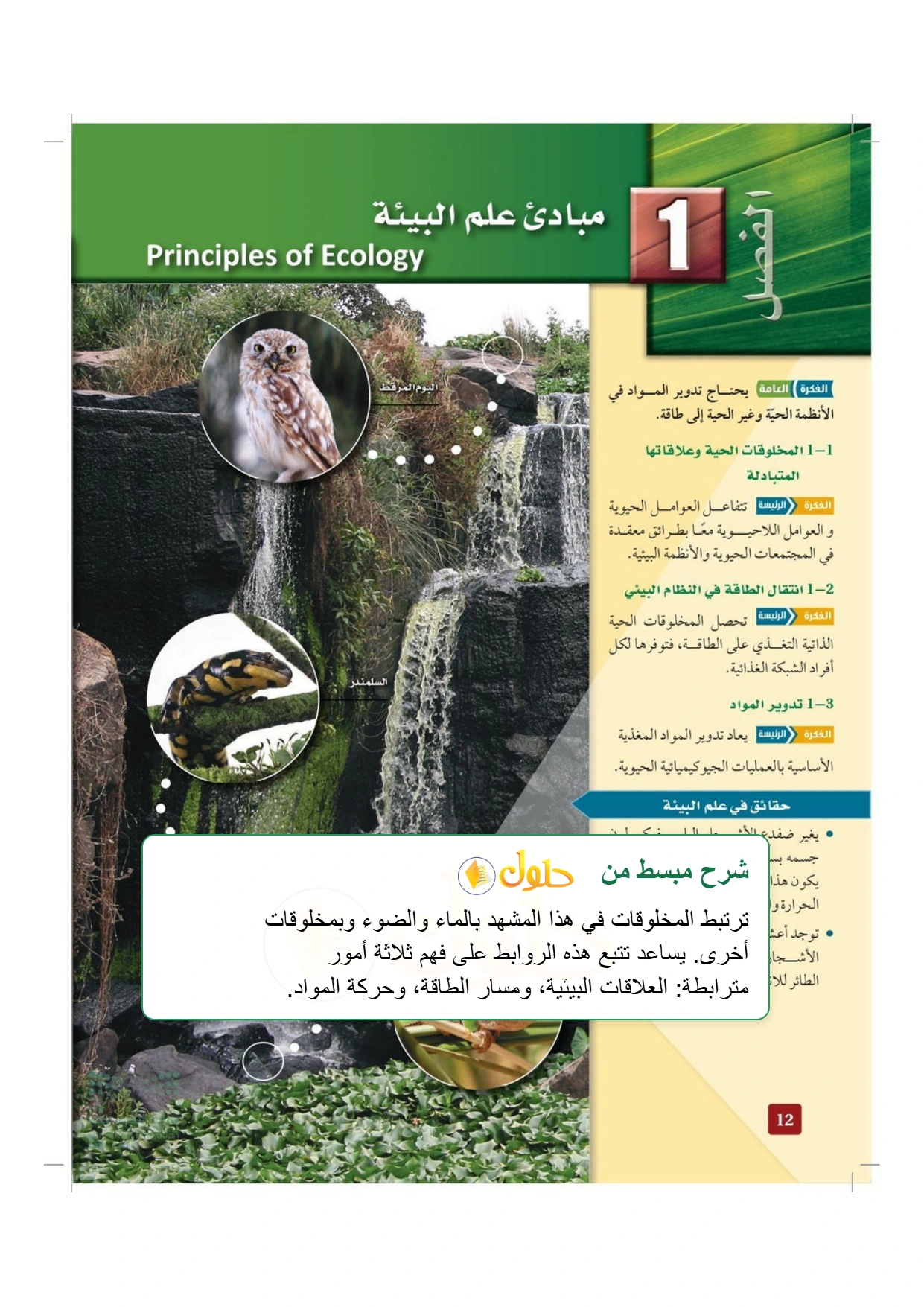 شرح وملخص علم البيئة صفحة ١٢