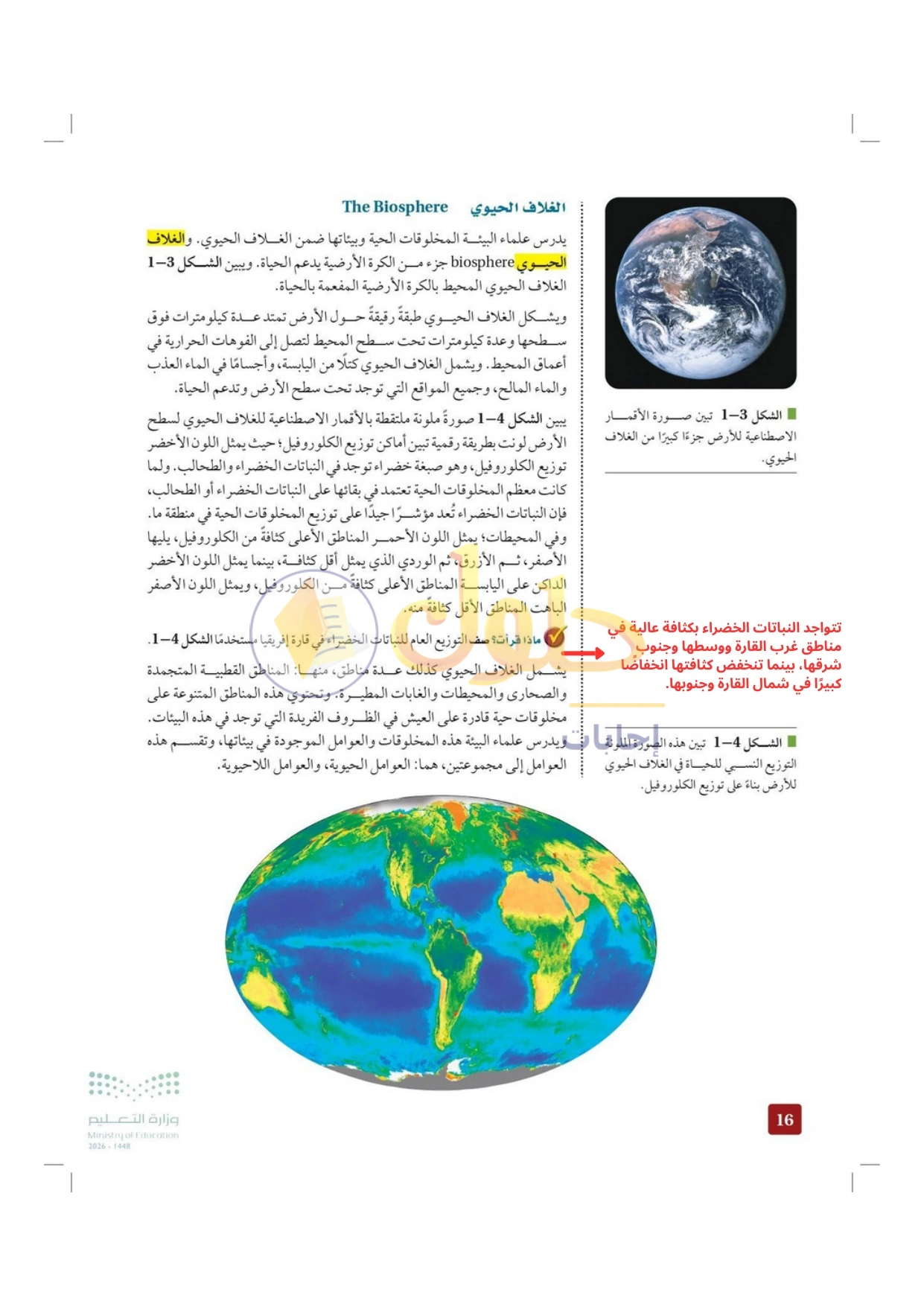 حل أنشطة علم البيئة صفحة ١٦