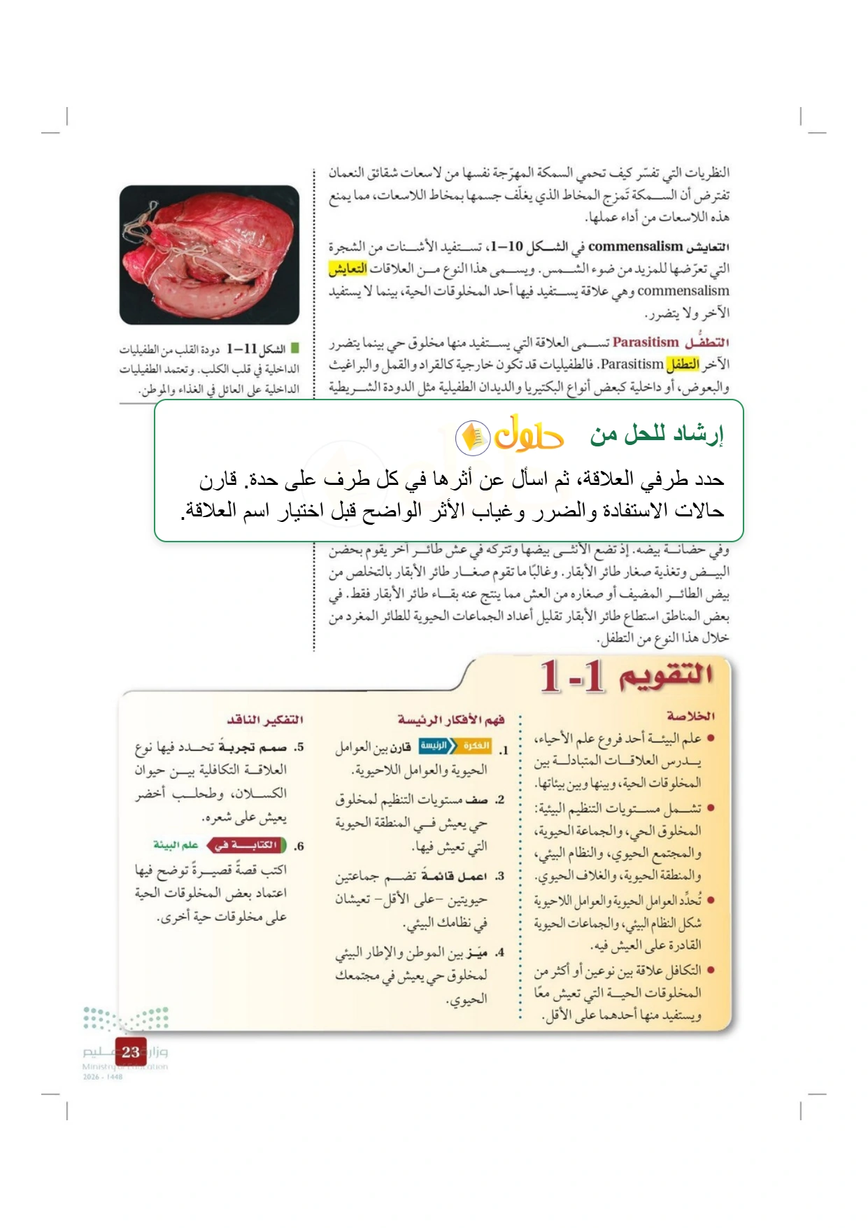 حل أنشطة علم البيئة صفحة ٢٣