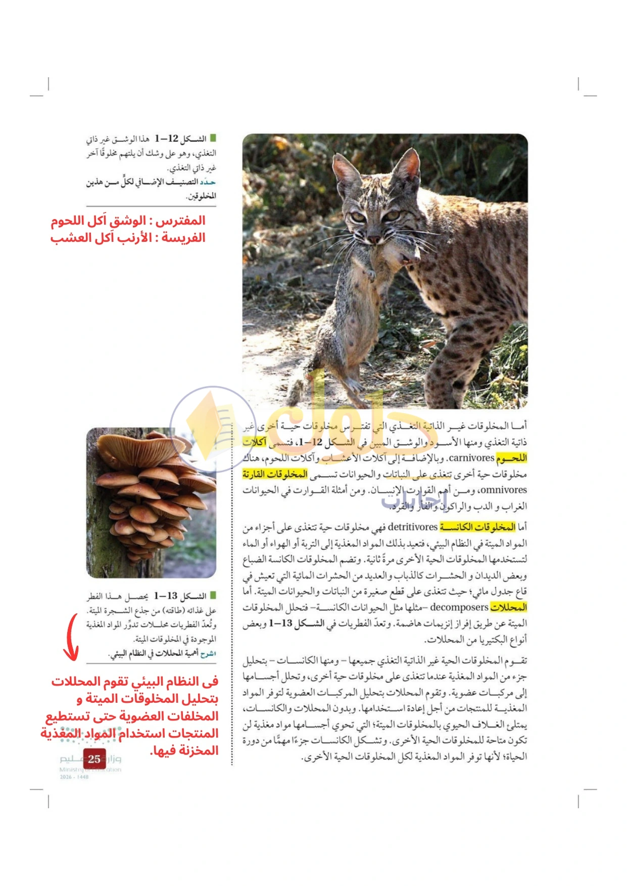 حل أنشطة علم البيئة صفحة ٢٥