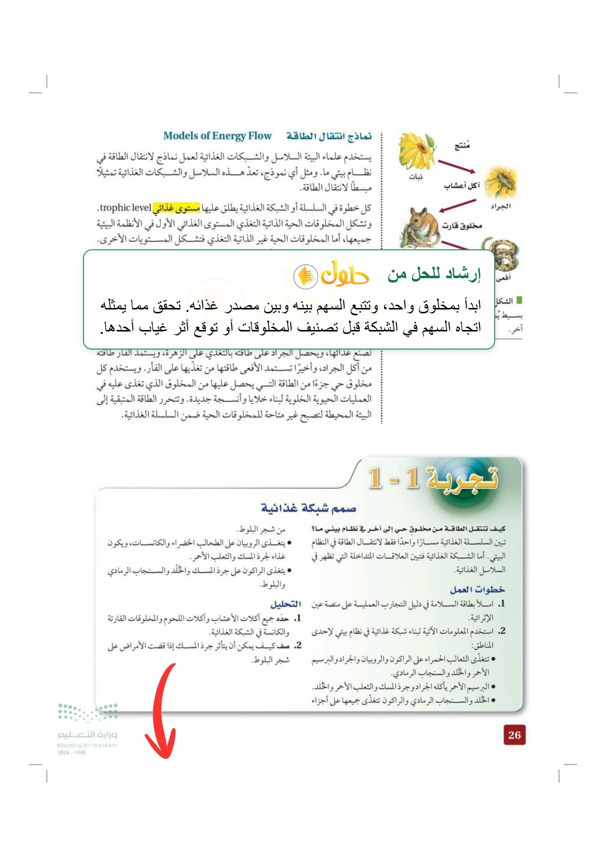 حل أنشطة علم البيئة صفحة ٢٦