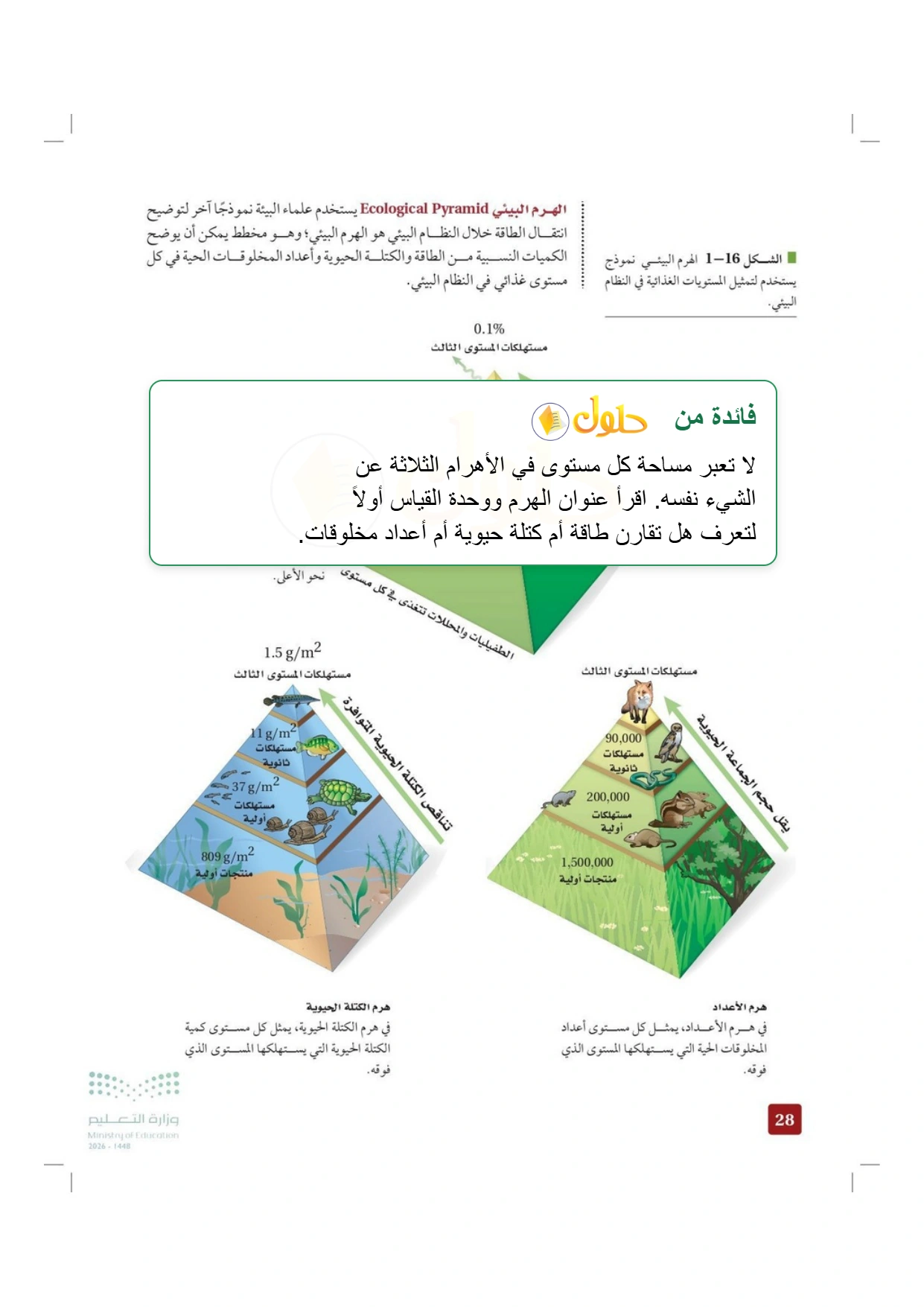 شرح وملخص علم البيئة صفحة ٢٨