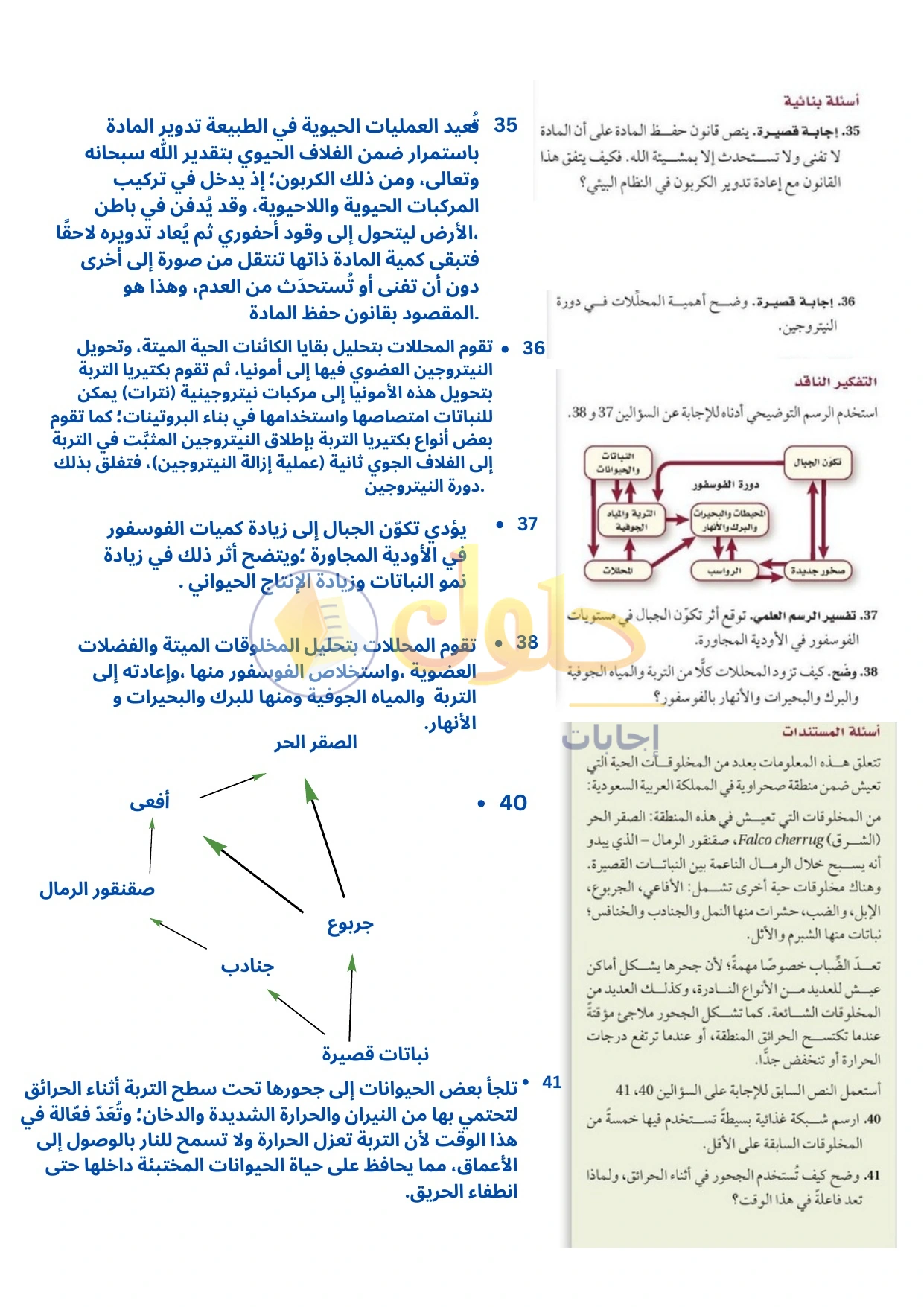 حل أنشطة علم البيئة صفحة ٤٣