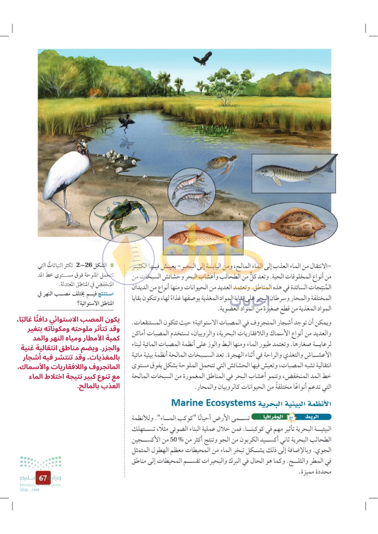 حل أنشطة علم البيئة صفحة ٦٧