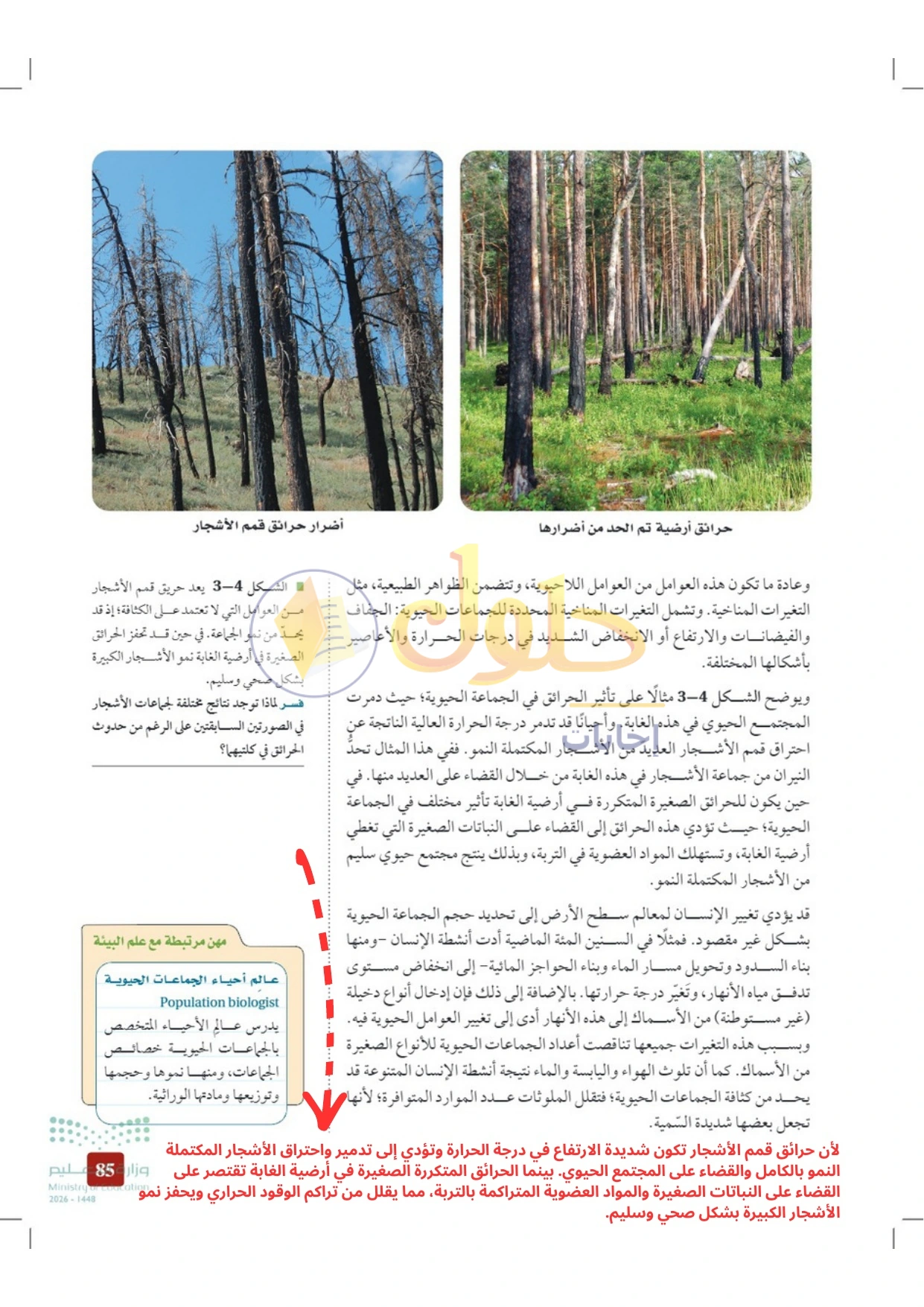 حل أنشطة علم البيئة صفحة ٨٥