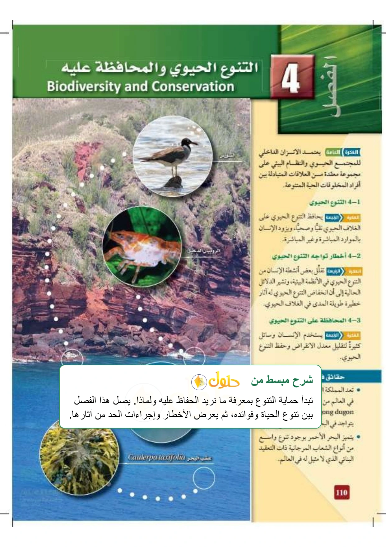 شرح وملخص علم البيئة صفحة ١١٠