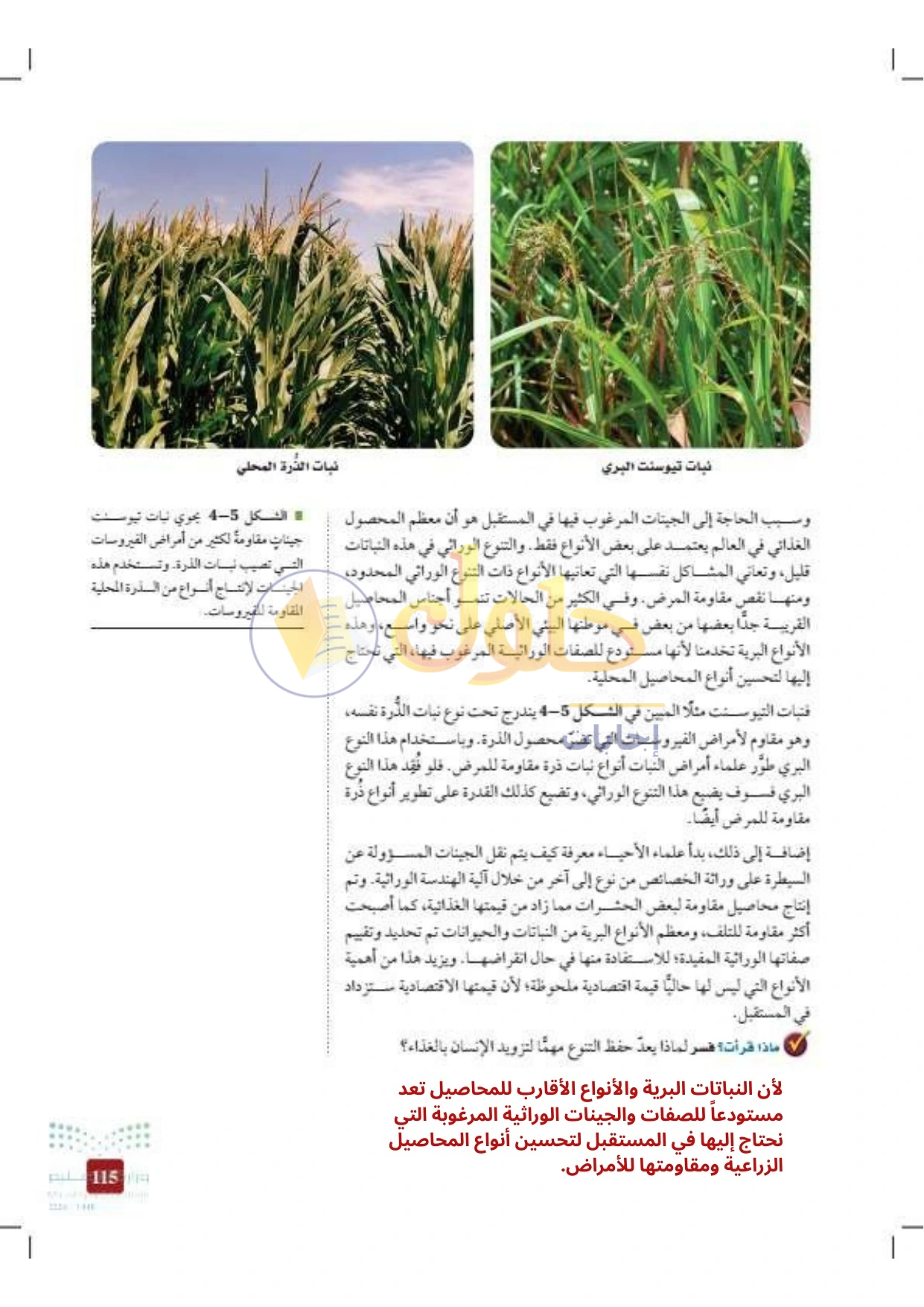 حل أنشطة علم البيئة صفحة ١١٥
