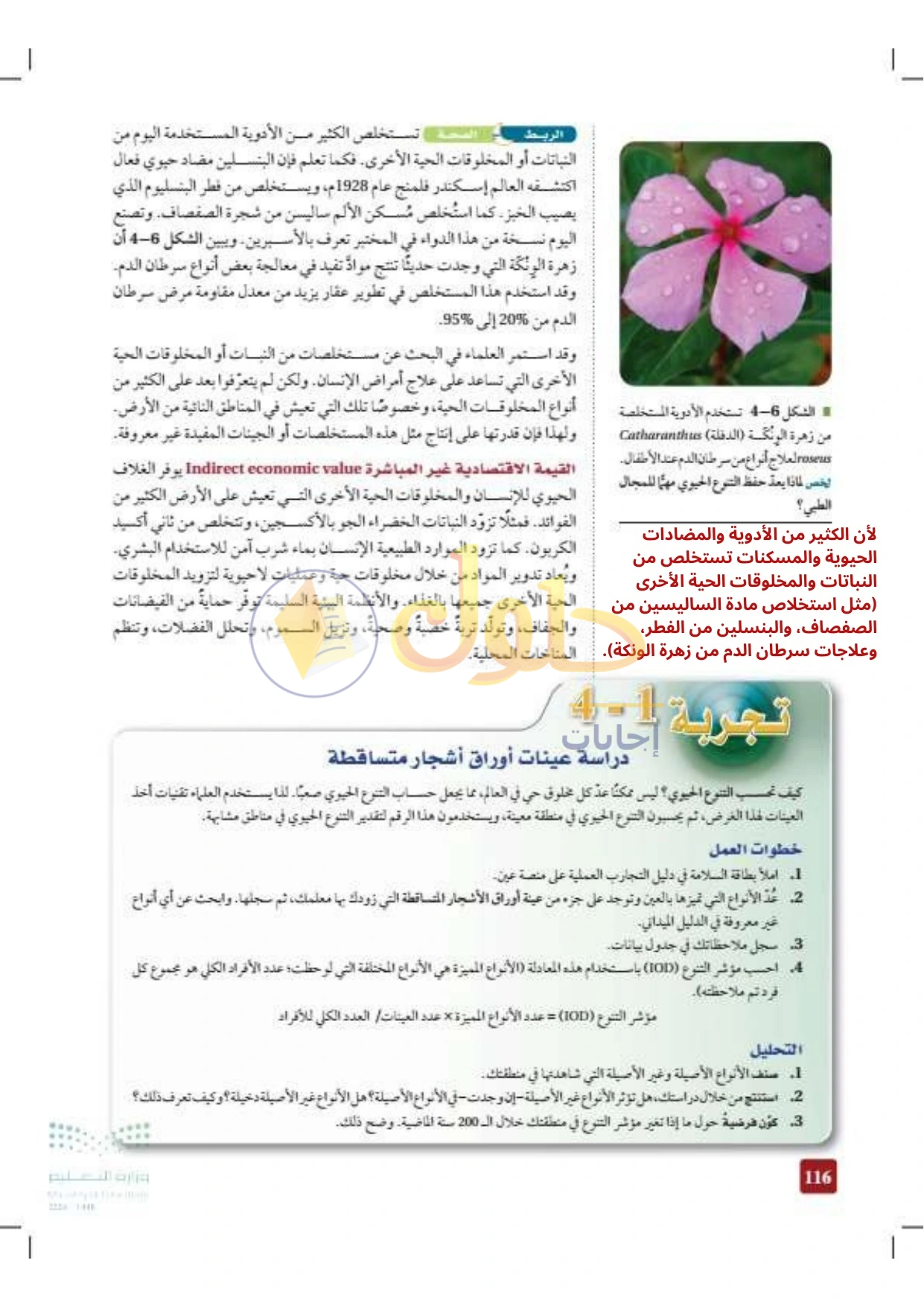حل أنشطة علم البيئة صفحة ١١٦