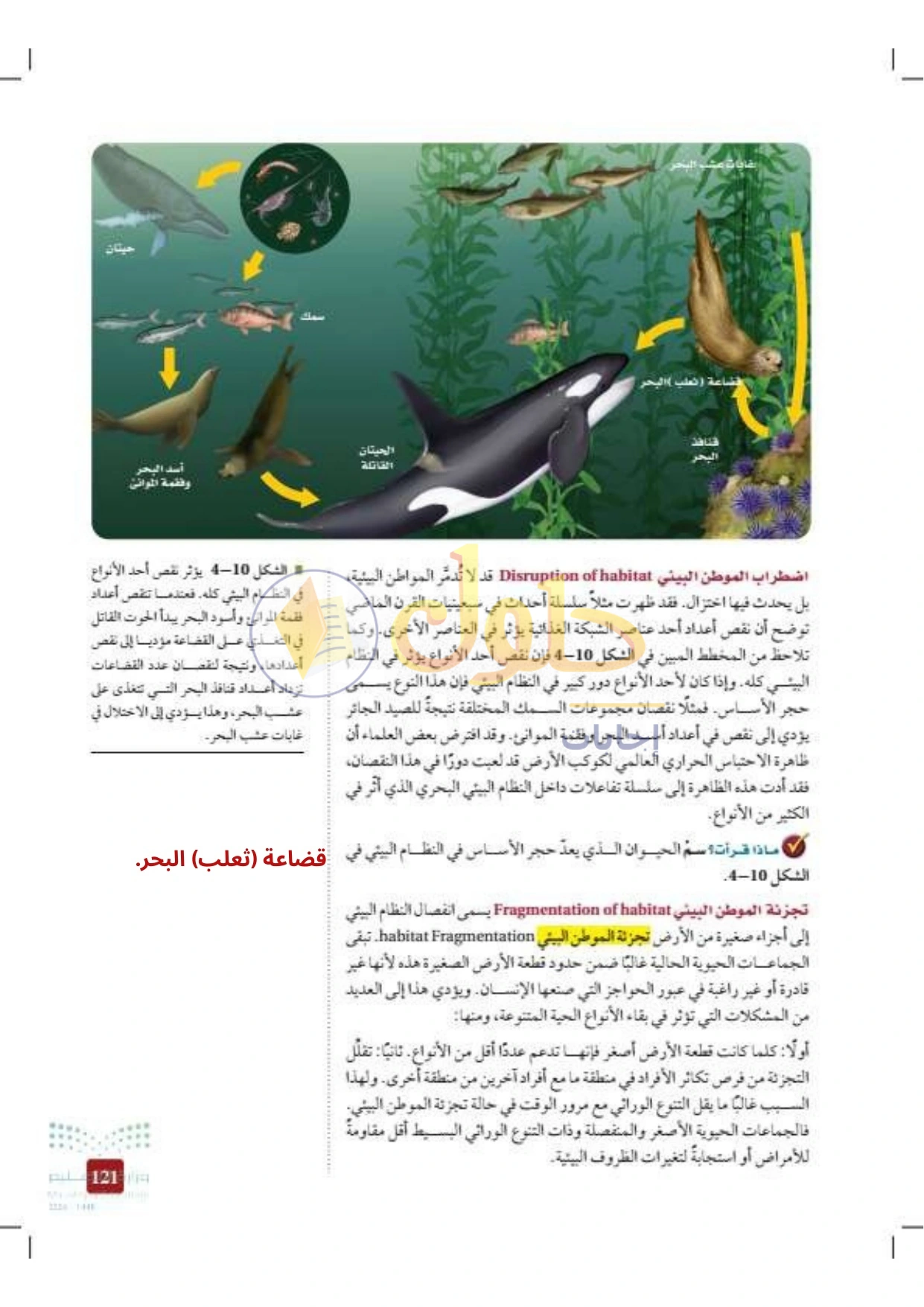 حل أنشطة علم البيئة صفحة ١٢١