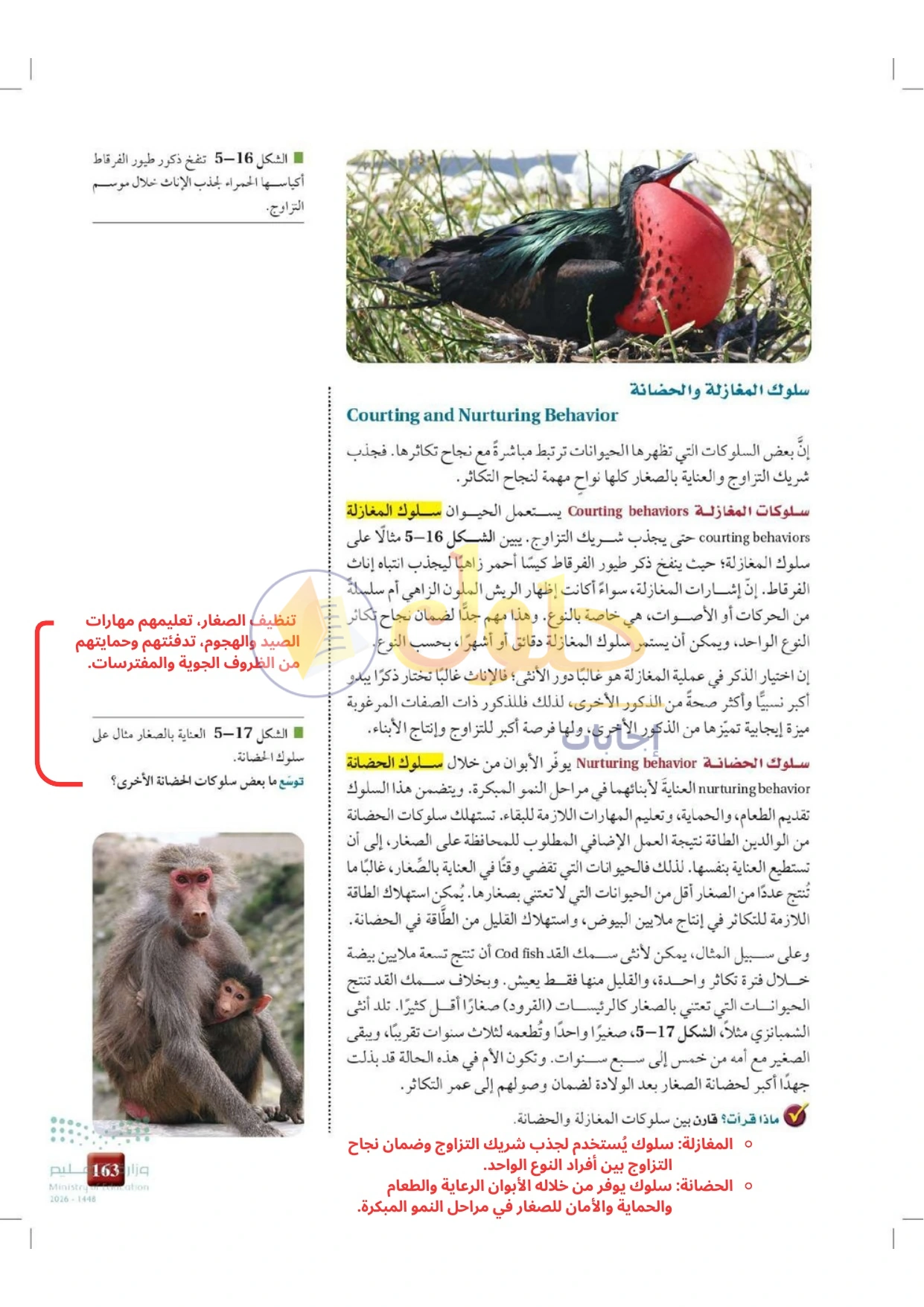 حل أنشطة علم البيئة صفحة ١٦٣