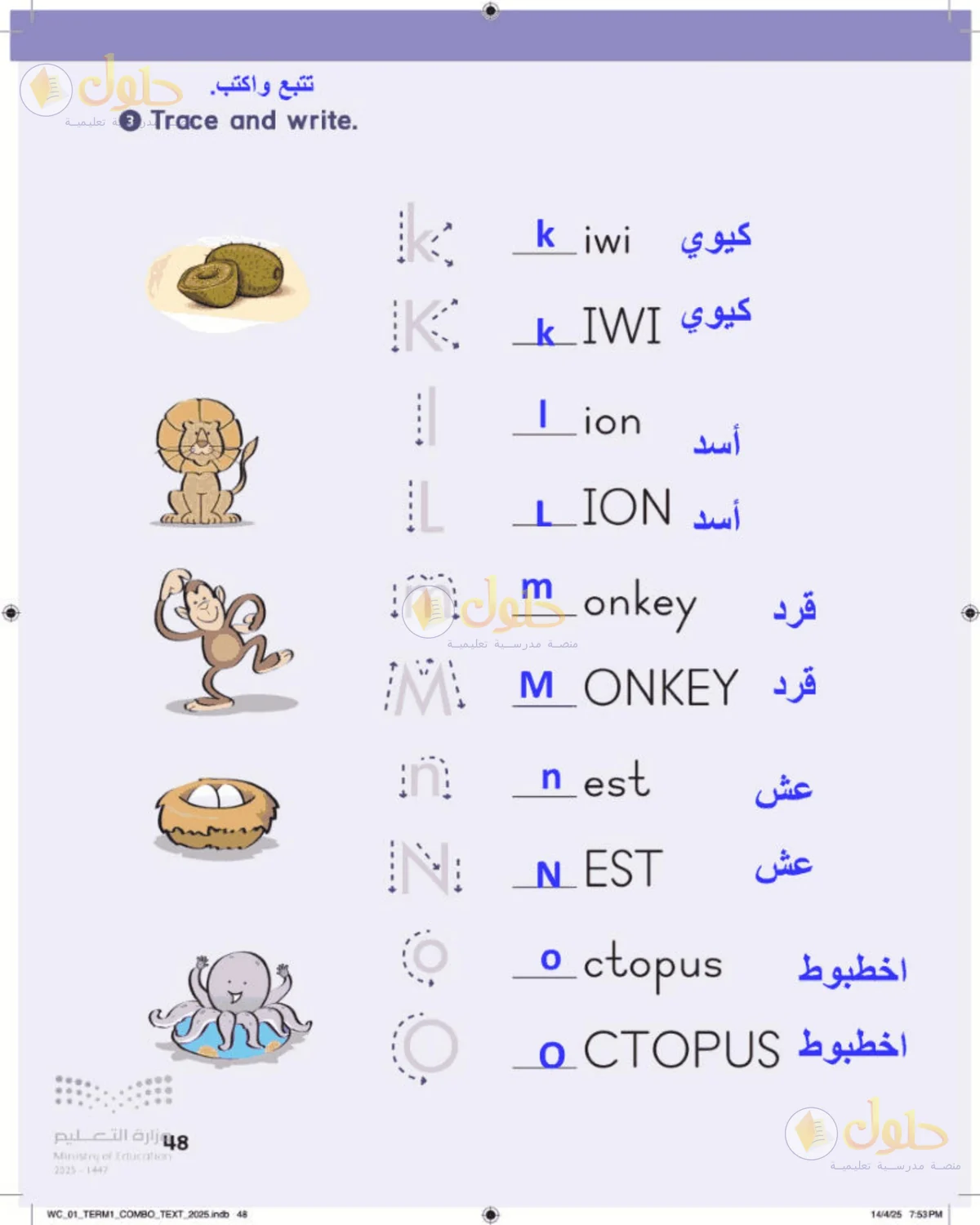 حل اللغة الإنجليزية للصف الأول الابتدائي صفحة 48