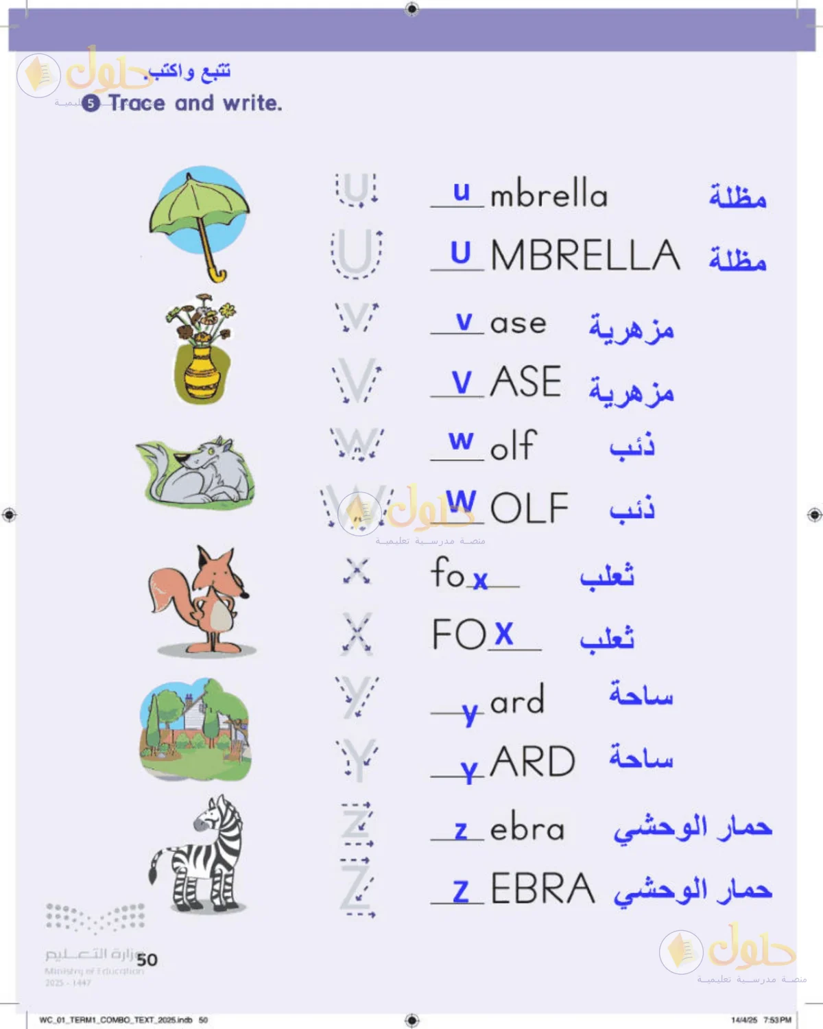 حل اللغة الإنجليزية للصف الأول الابتدائي صفحة 50