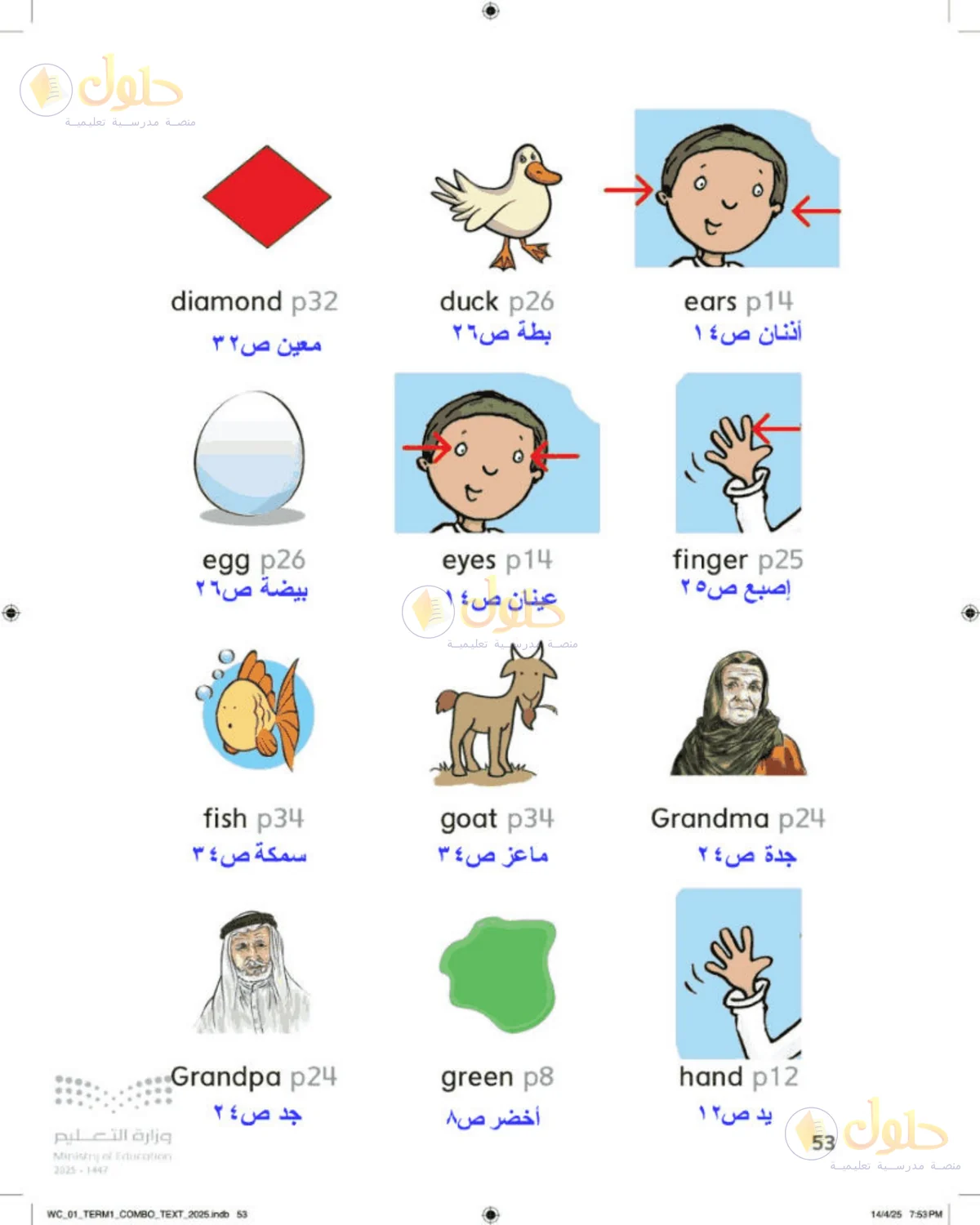 حل اللغة الإنجليزية للصف الأول الابتدائي صفحة 53