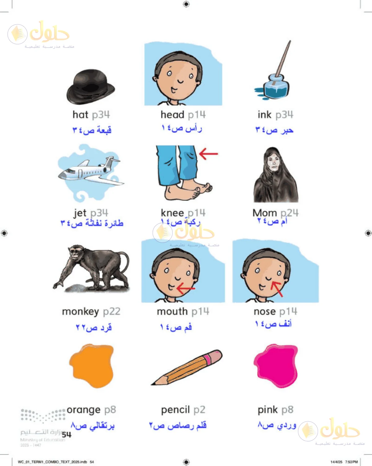 حل اللغة الإنجليزية للصف الأول الابتدائي صفحة 54