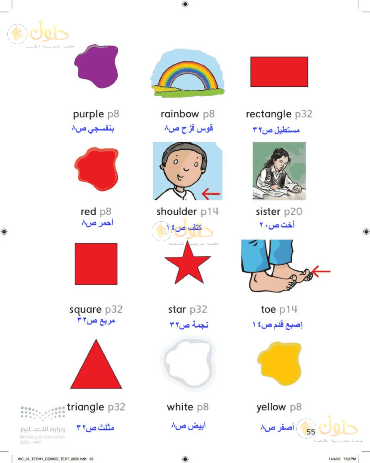 حل اللغة الإنجليزية للصف الأول الابتدائي صفحة 55