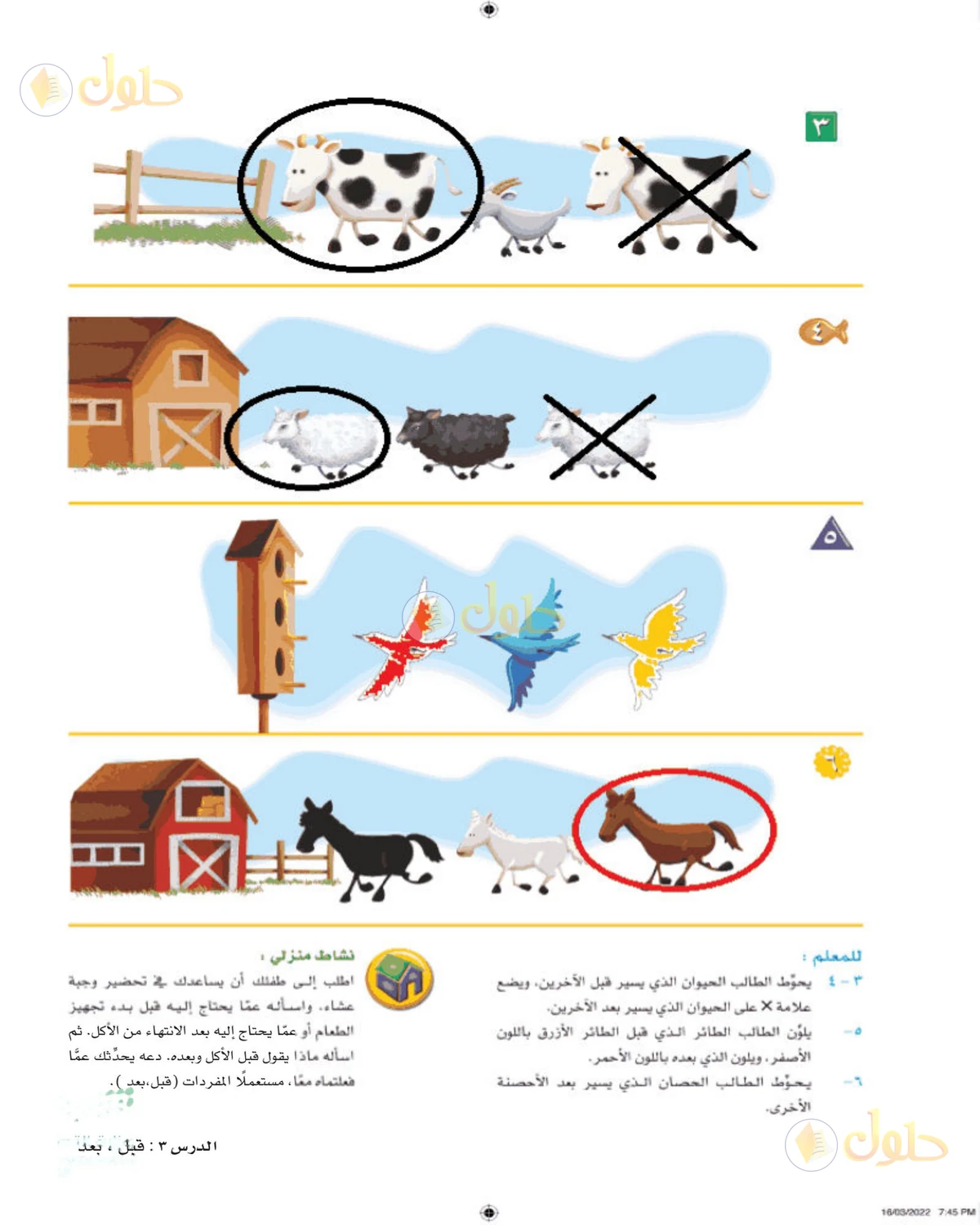 حل الرياضيات للصف الأول الابتدائي صفحة 53