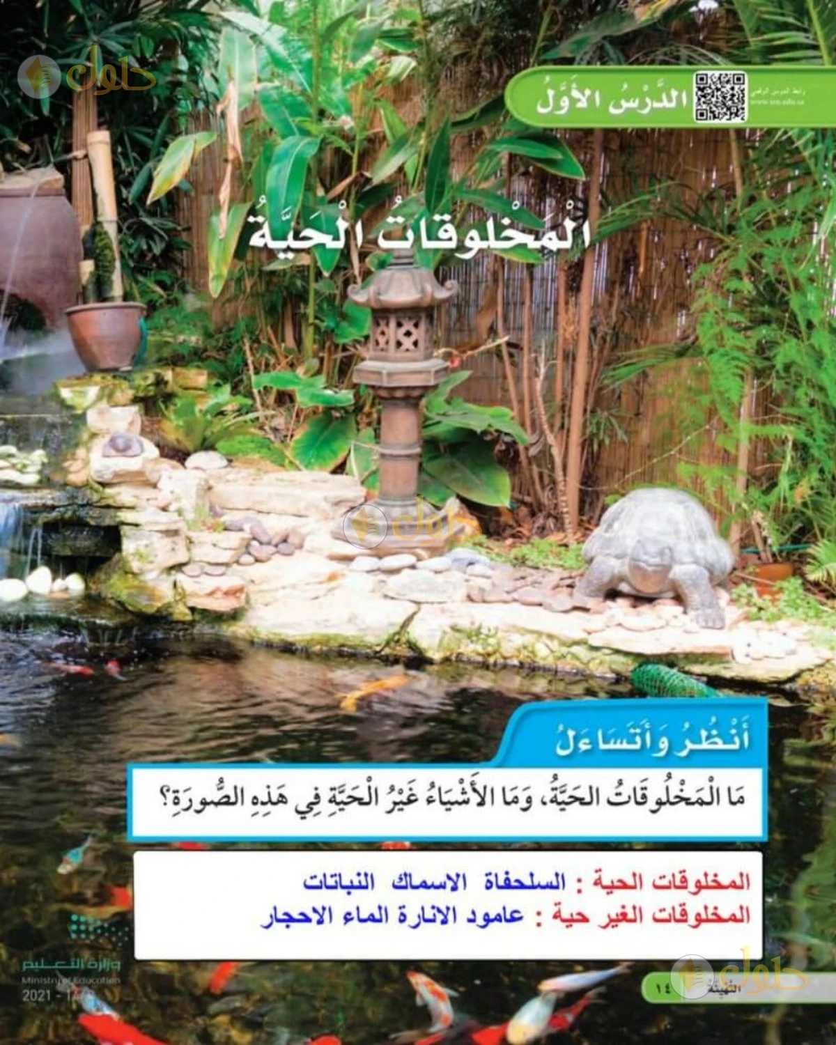حل العلوم للصف الأول الابتدائي صفحة 14