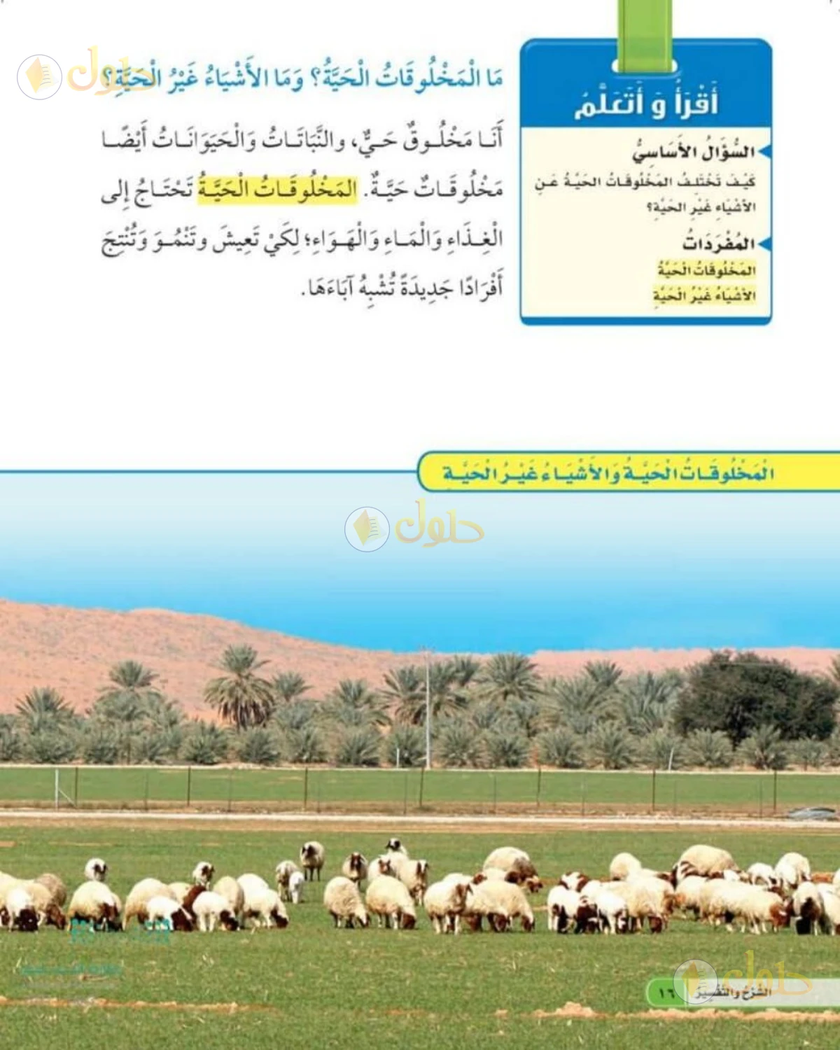 حل العلوم للصف الأول الابتدائي صفحة 16