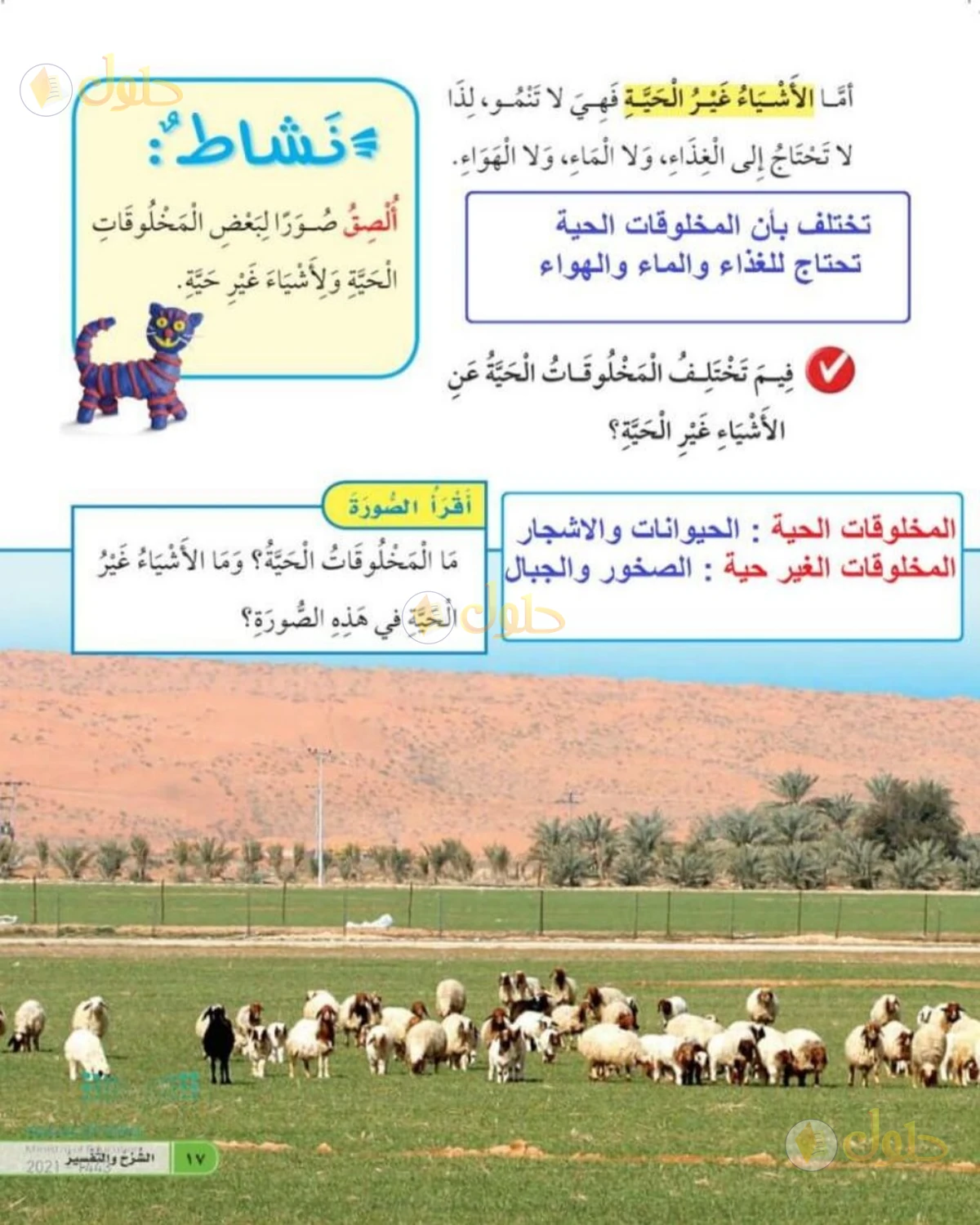 حل العلوم للصف الأول الابتدائي صفحة 17